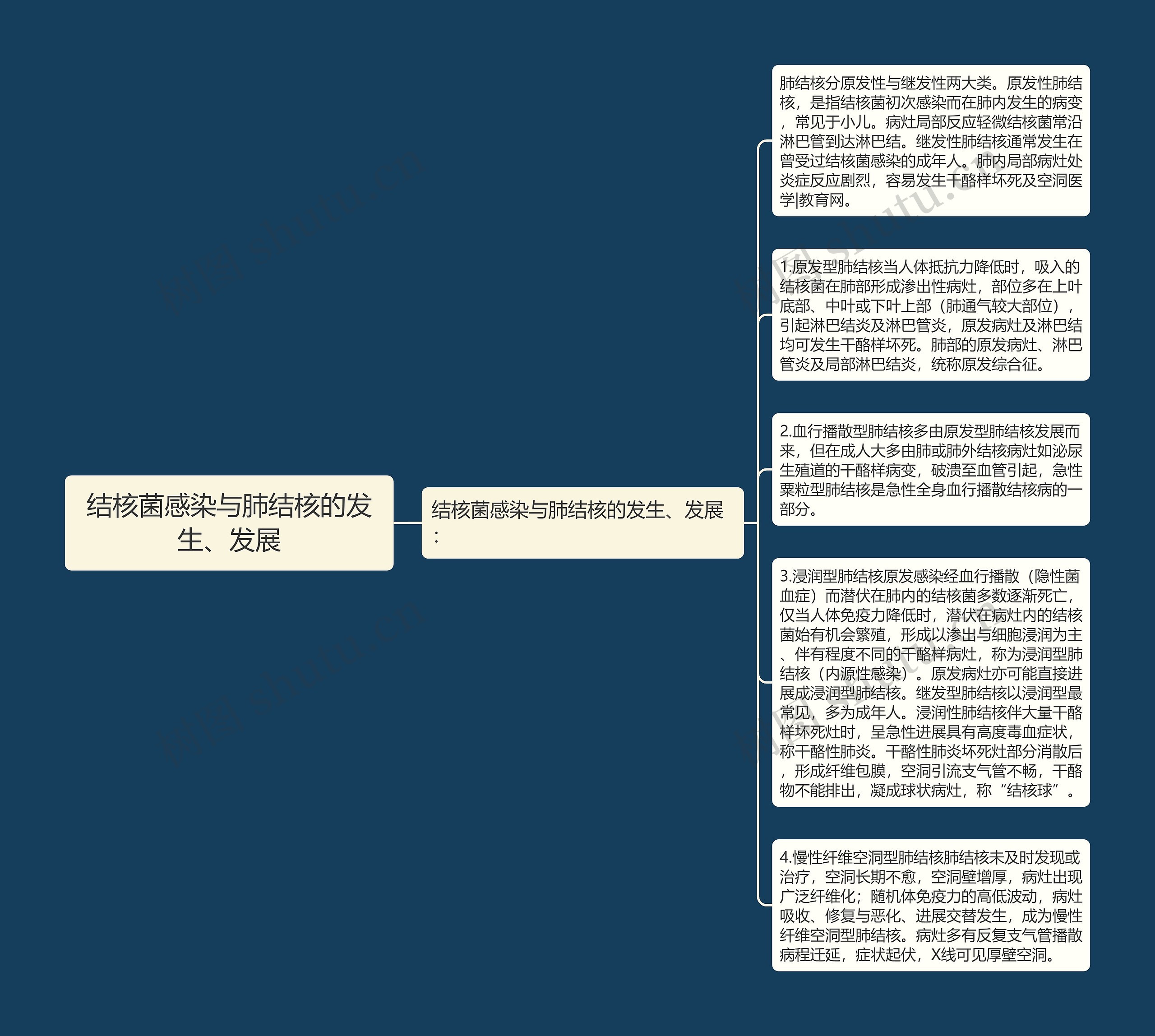 结核菌感染与肺结核的发生、发展思维导图