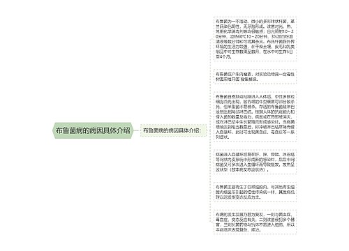 布鲁菌病的病因具体介绍