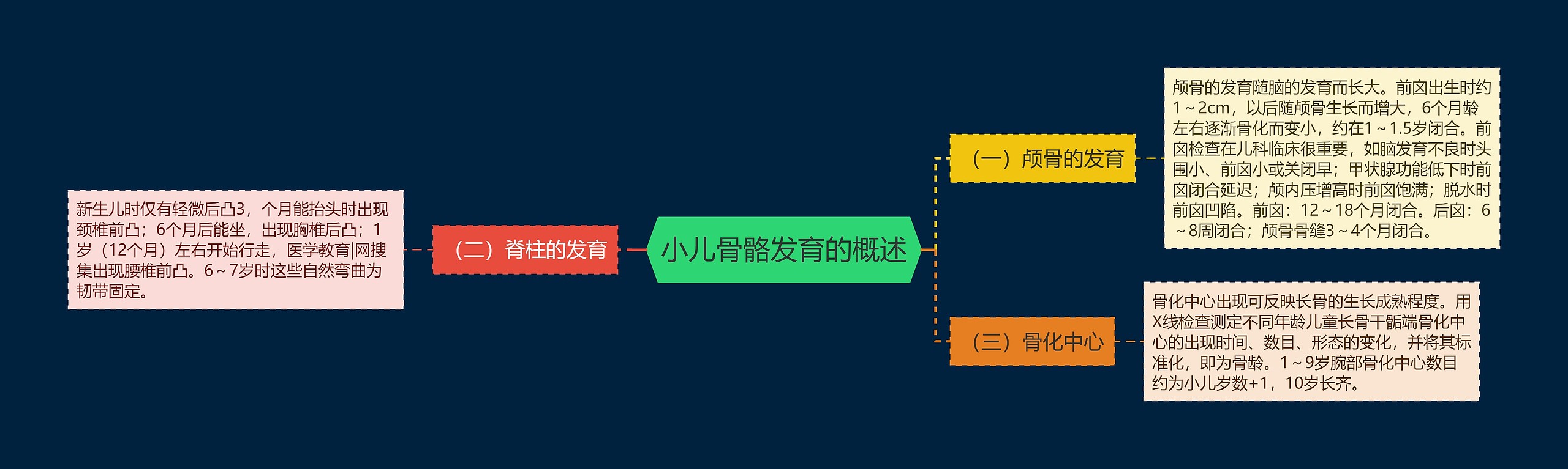 小儿骨骼发育的概述思维导图