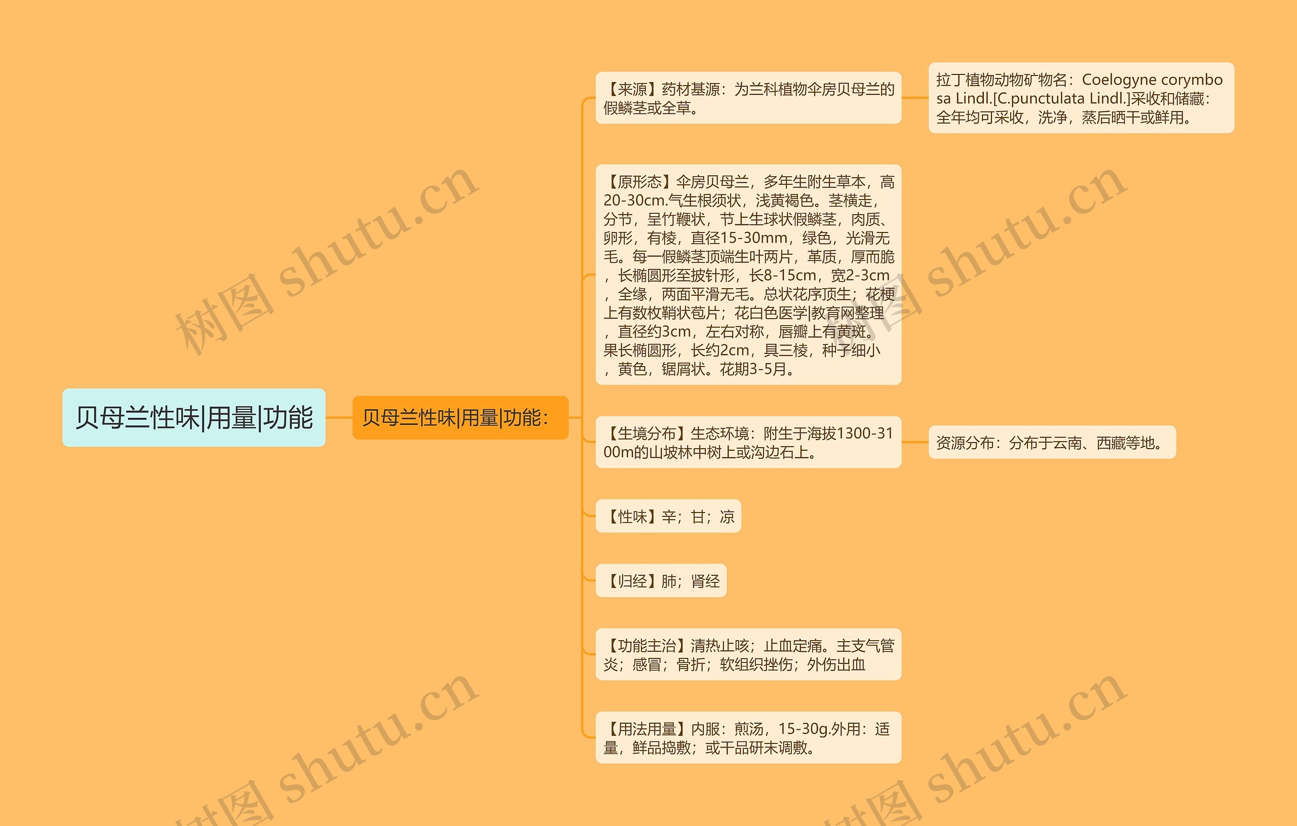 贝母兰性味|用量|功能思维导图