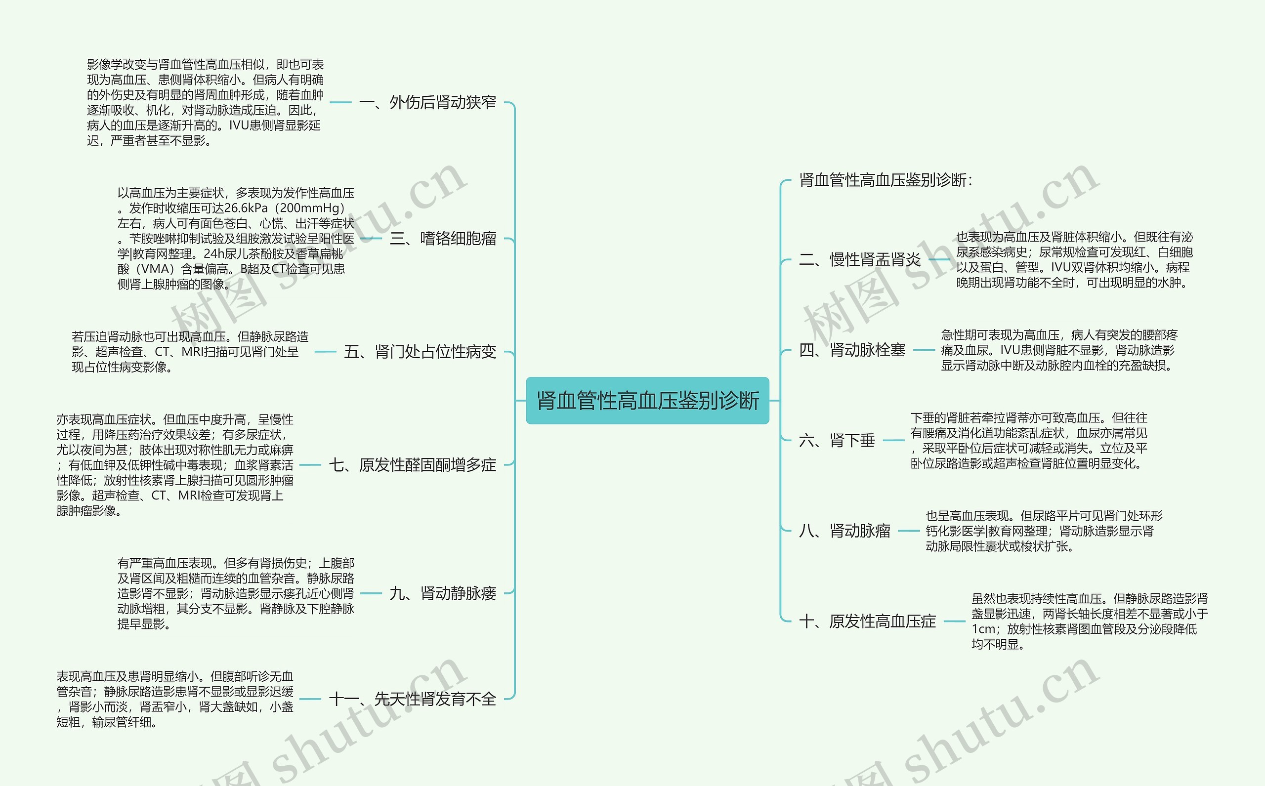 肾血管性高血压鉴别诊断思维导图