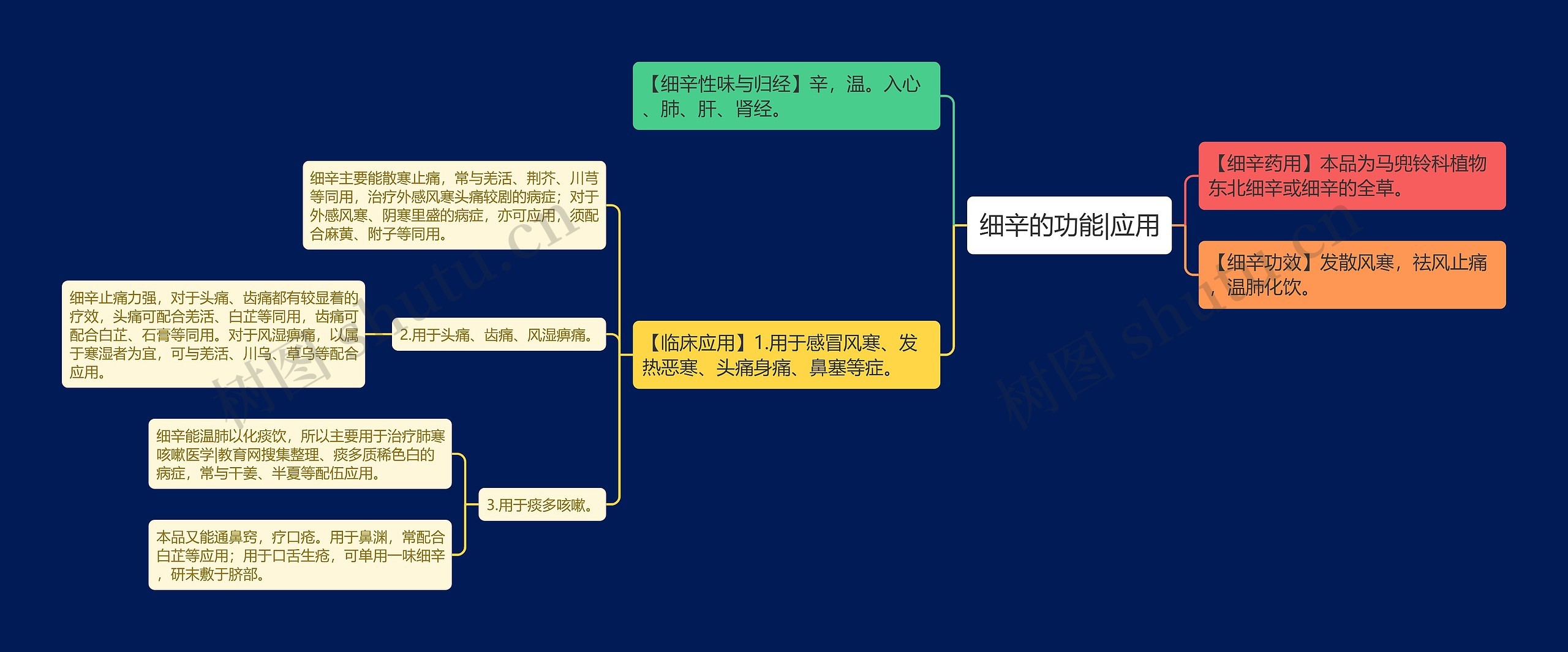 细辛的功能|应用思维导图