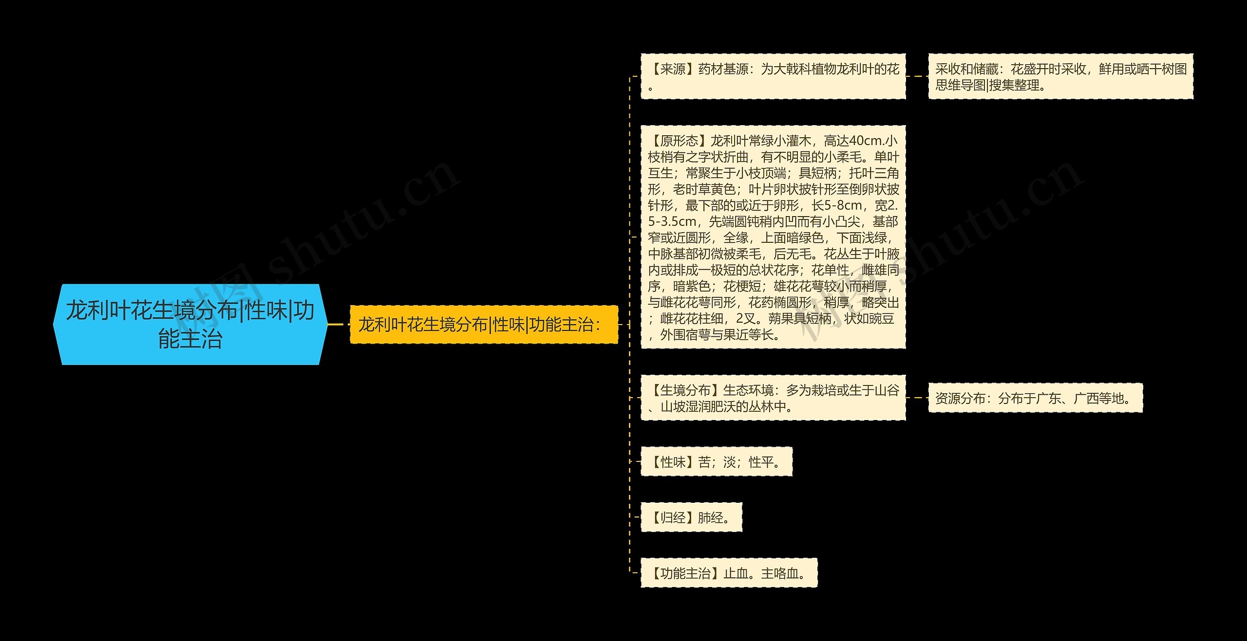 龙利叶花生境分布|性味|功能主治思维导图