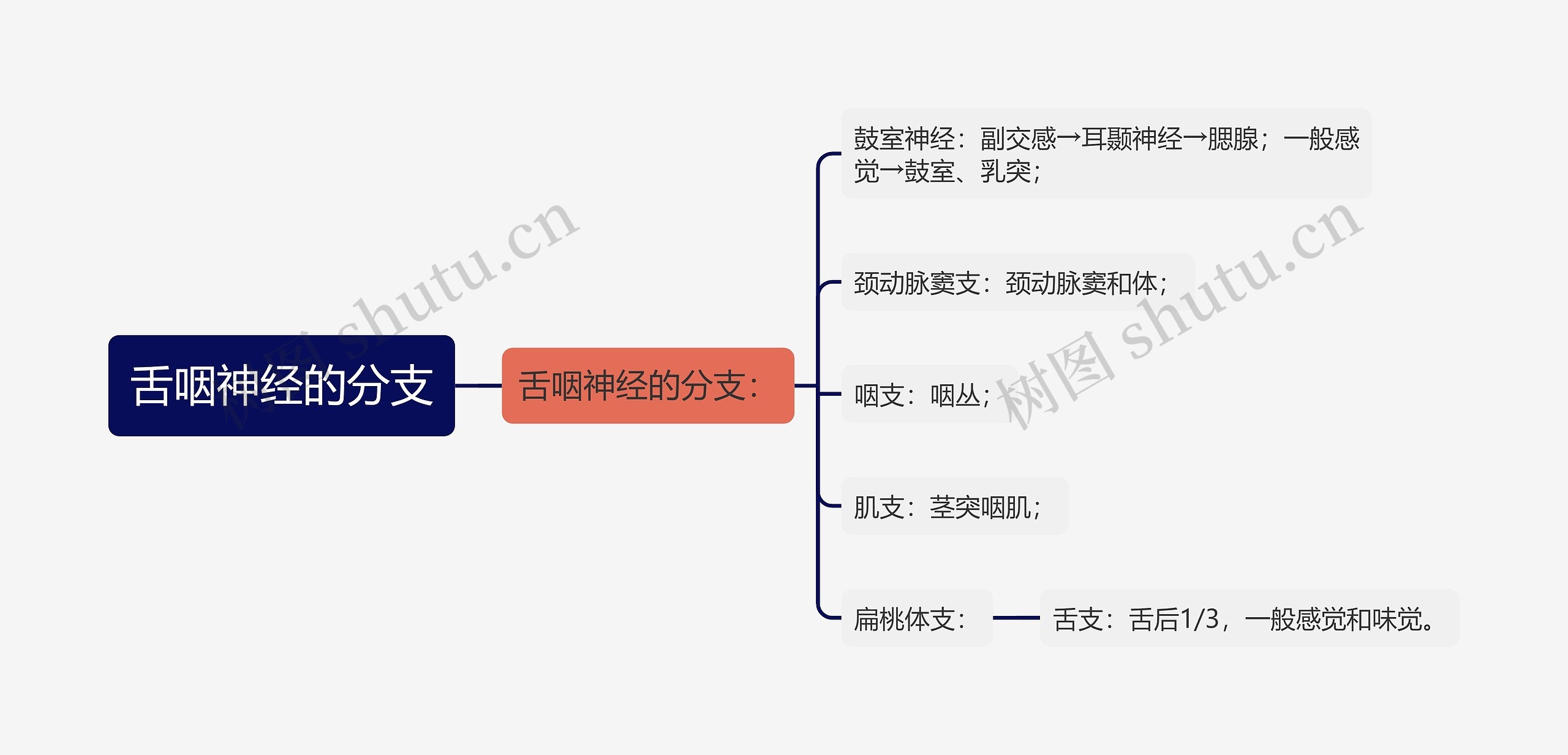 舌咽神经的分支思维导图