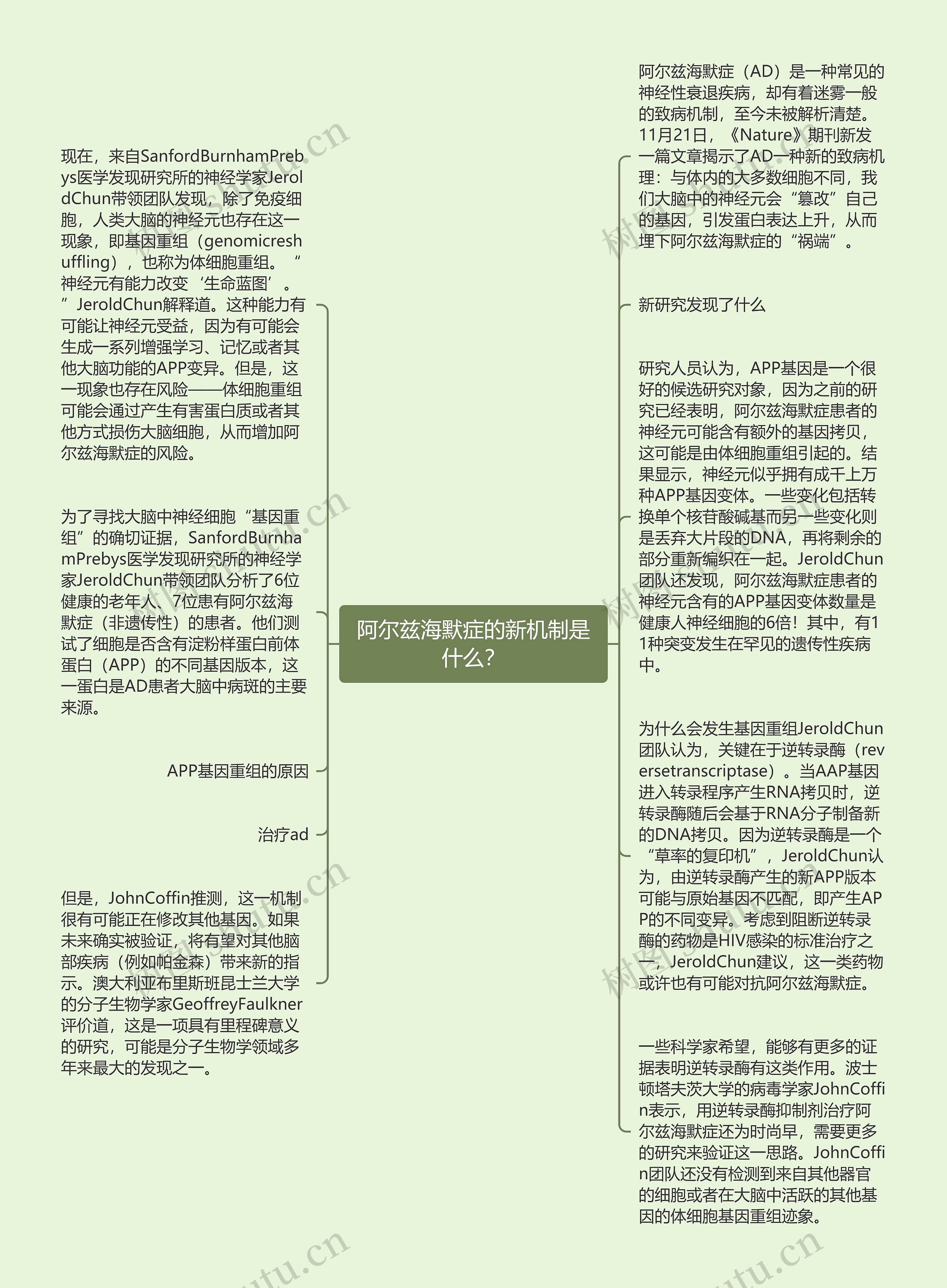 阿尔兹海默症的新机制是什么？