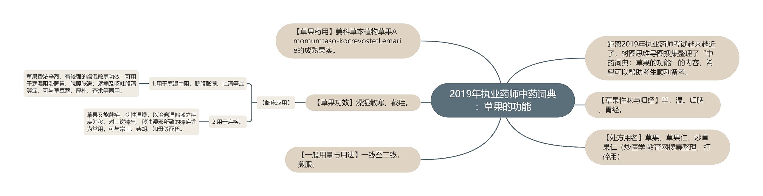 2019年执业药师中药词典：草果的功能