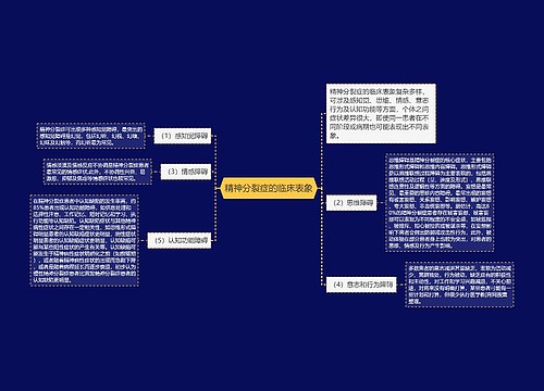 精神分裂症的临床表象