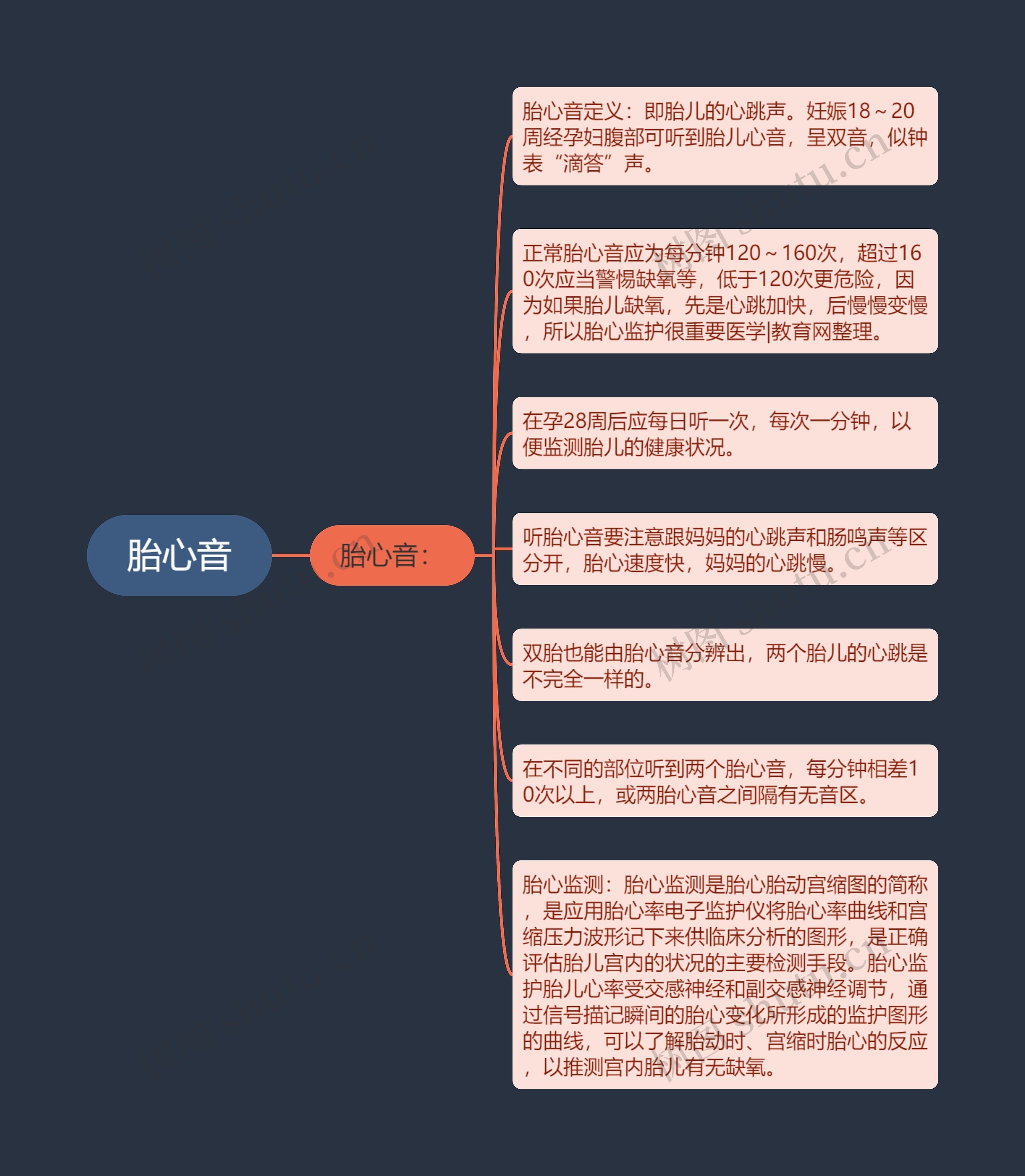 胎心音思维导图
