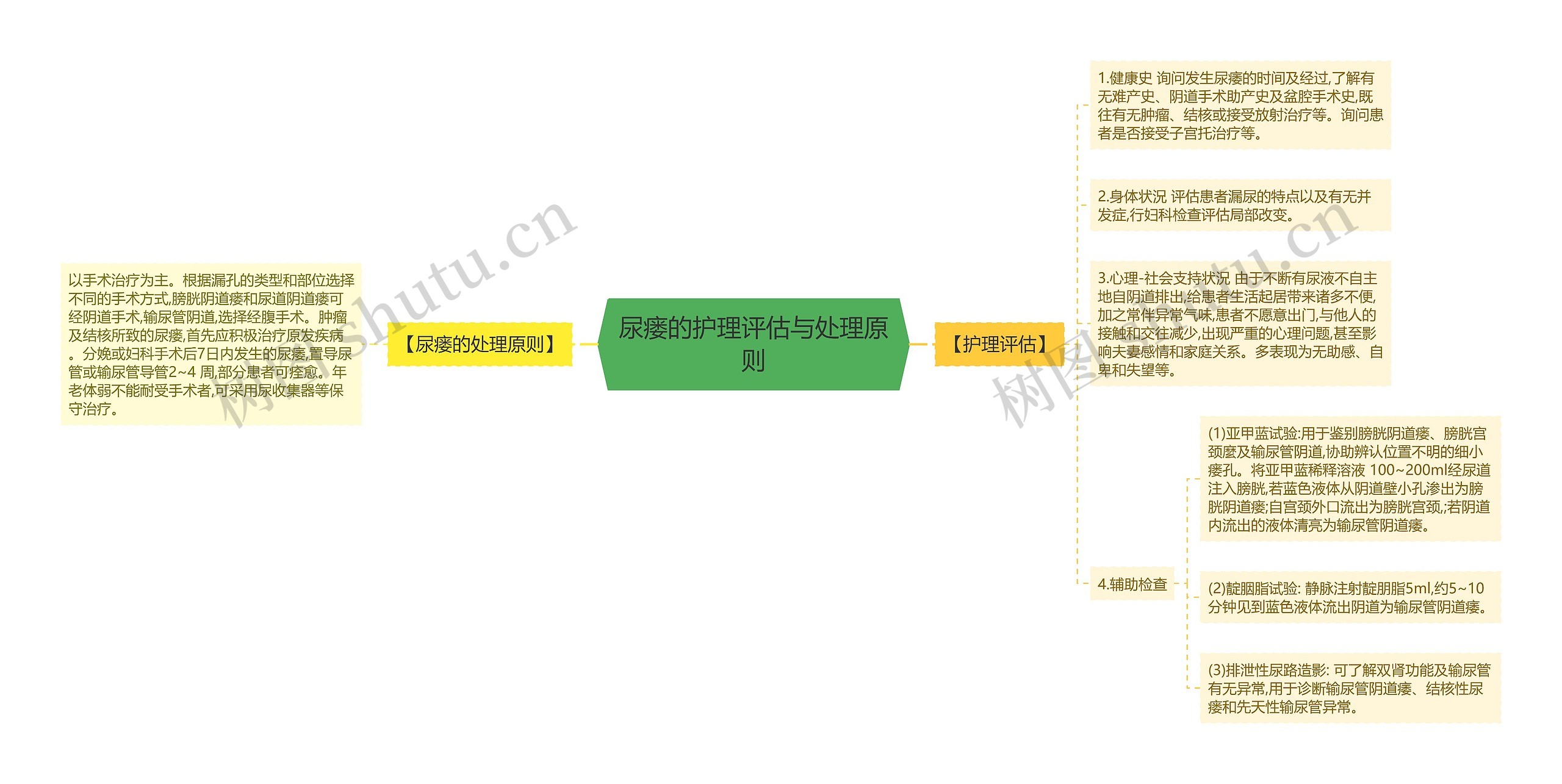 尿瘘的护理评估与处理原则思维导图