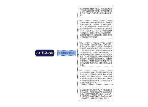 乙肝抗体功能