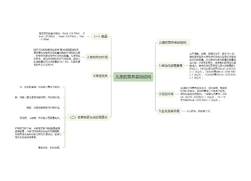 儿童的营养基础结构