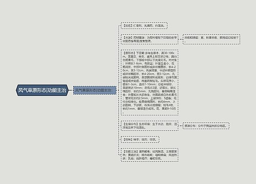 风气草原形态|功能主治