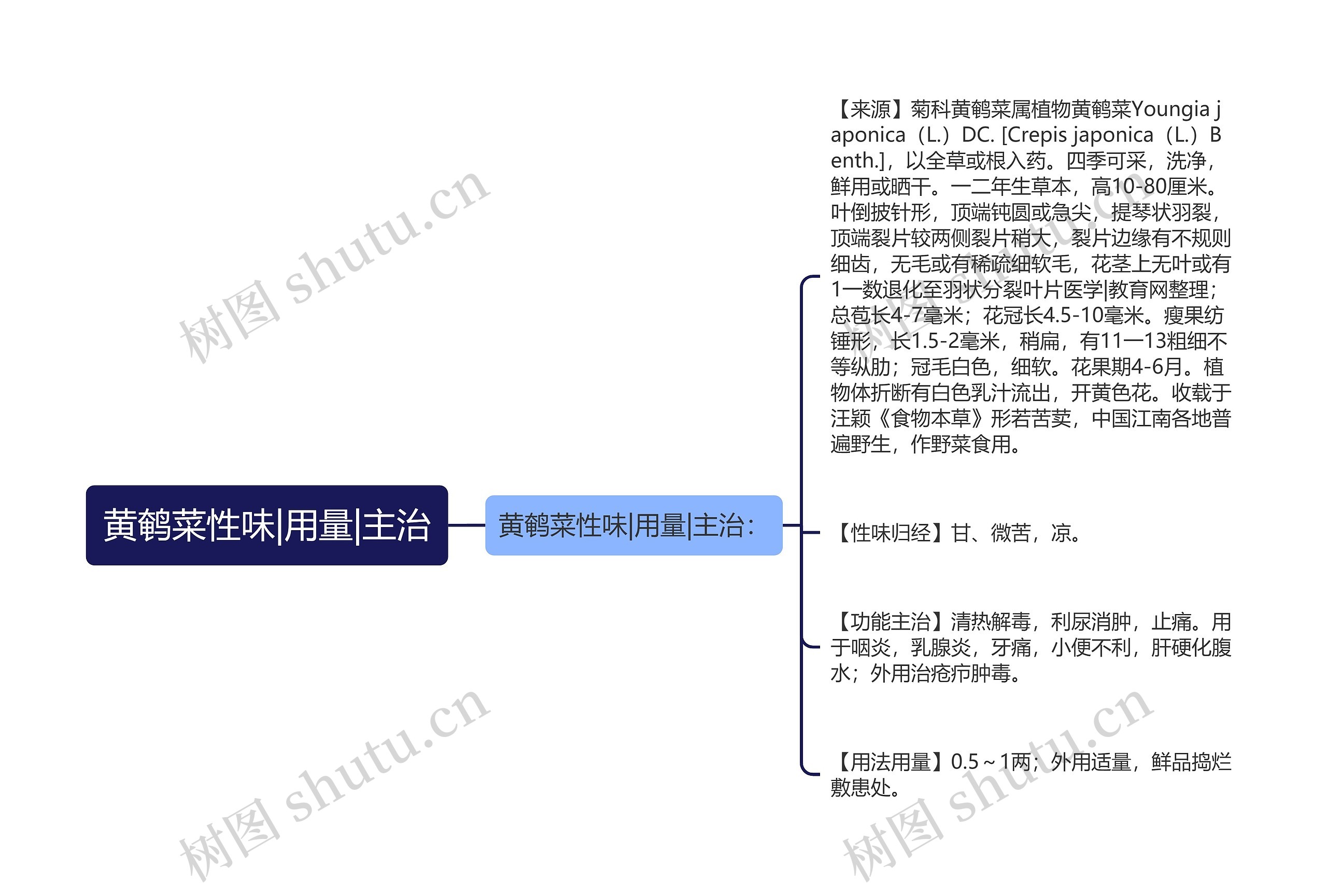 黄鹌菜性味|用量|主治思维导图