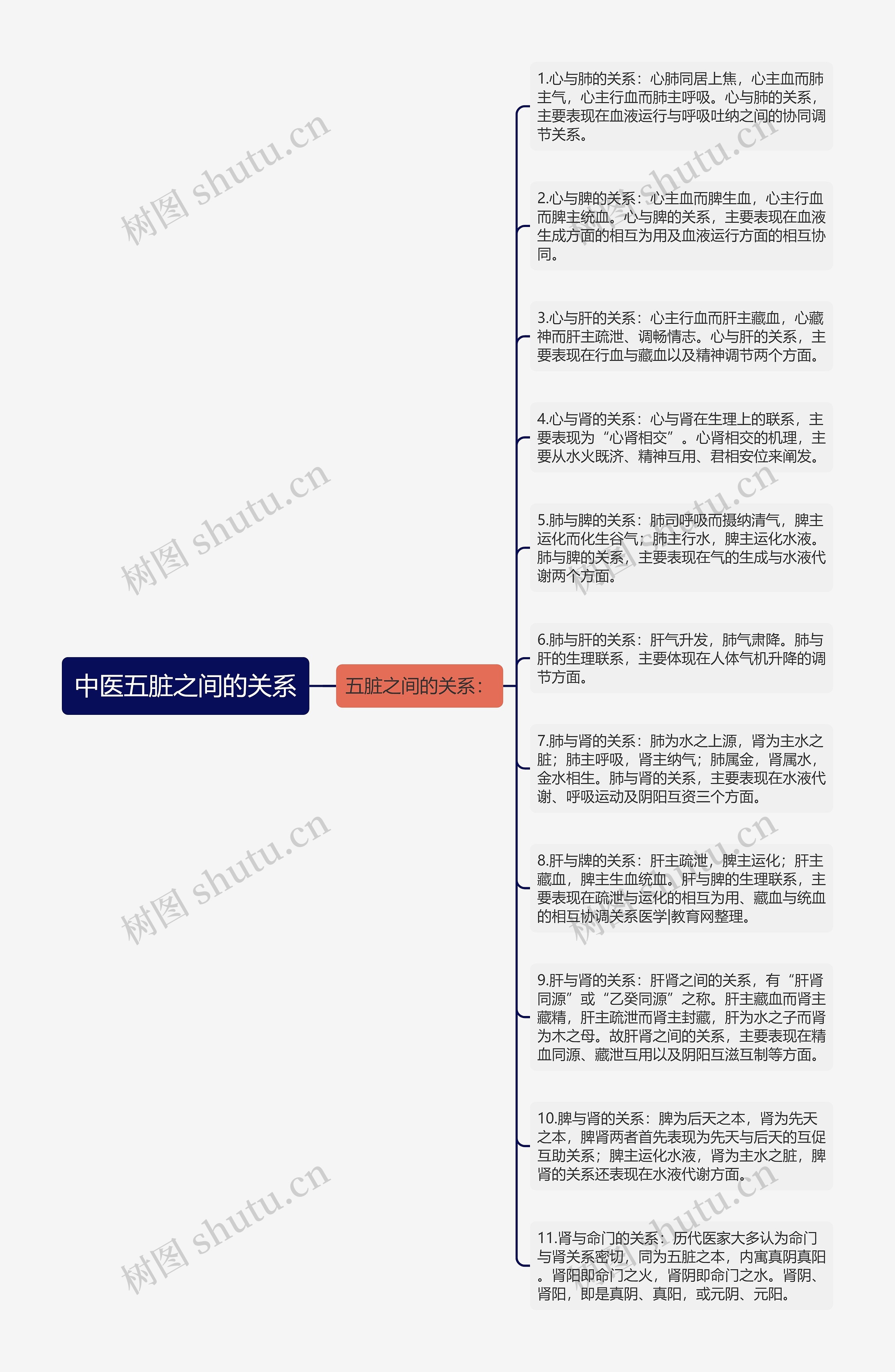 中医五脏之间的关系思维导图