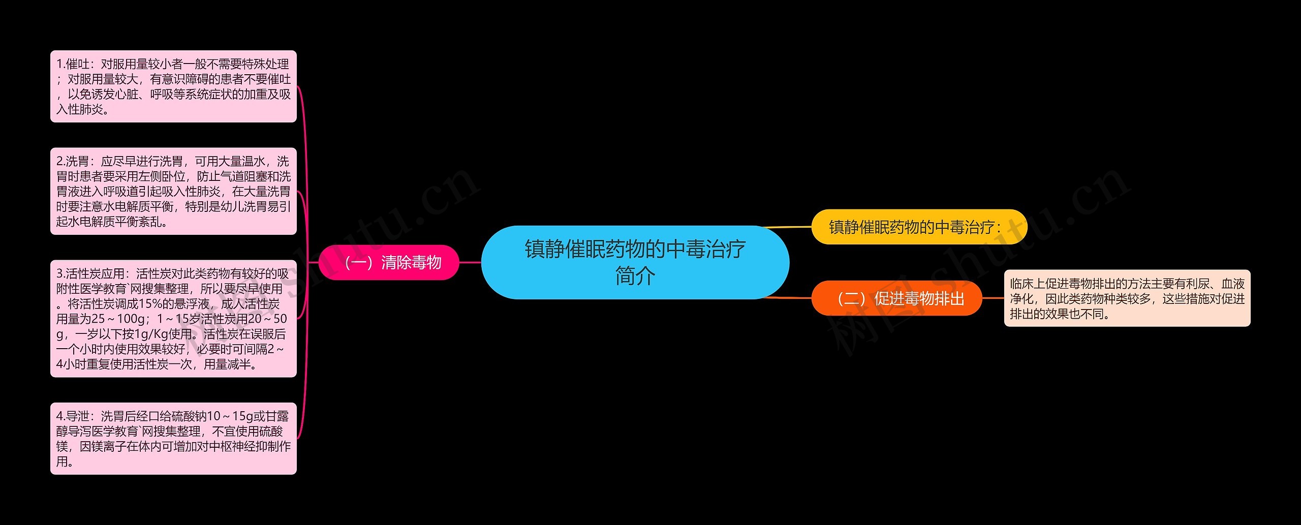 2022年のクリスマスの特別な衣装 ❰絶版❱ 中毒百科 事例・病態・治療