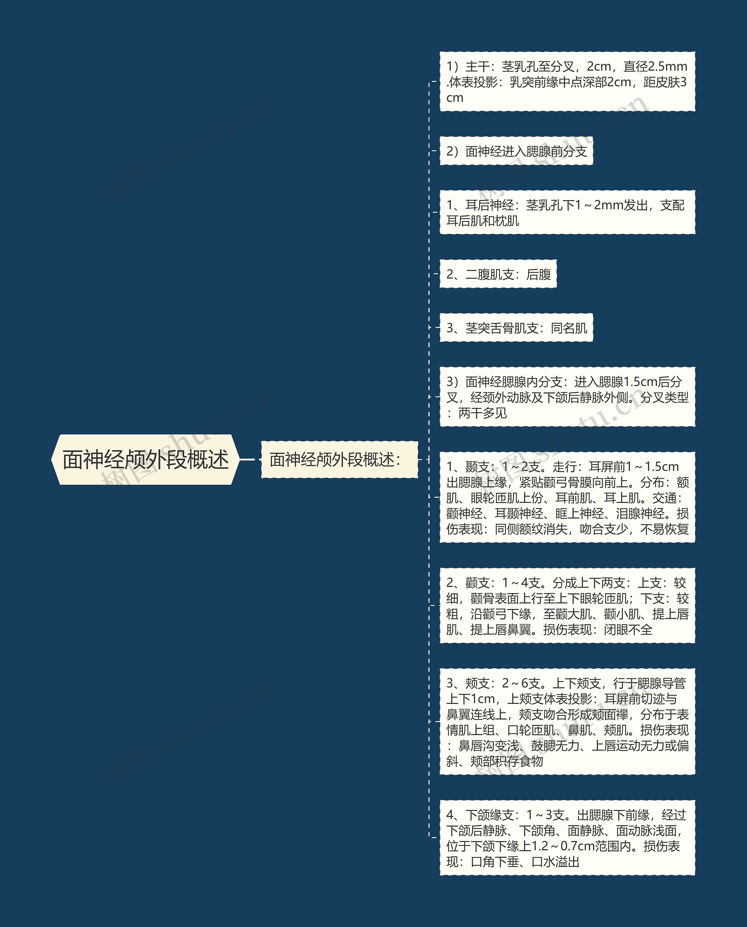 面神经颅外段概述思维导图