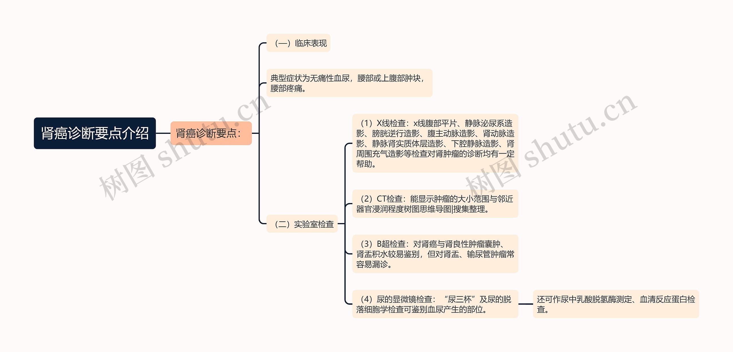 肾癌诊断要点介绍