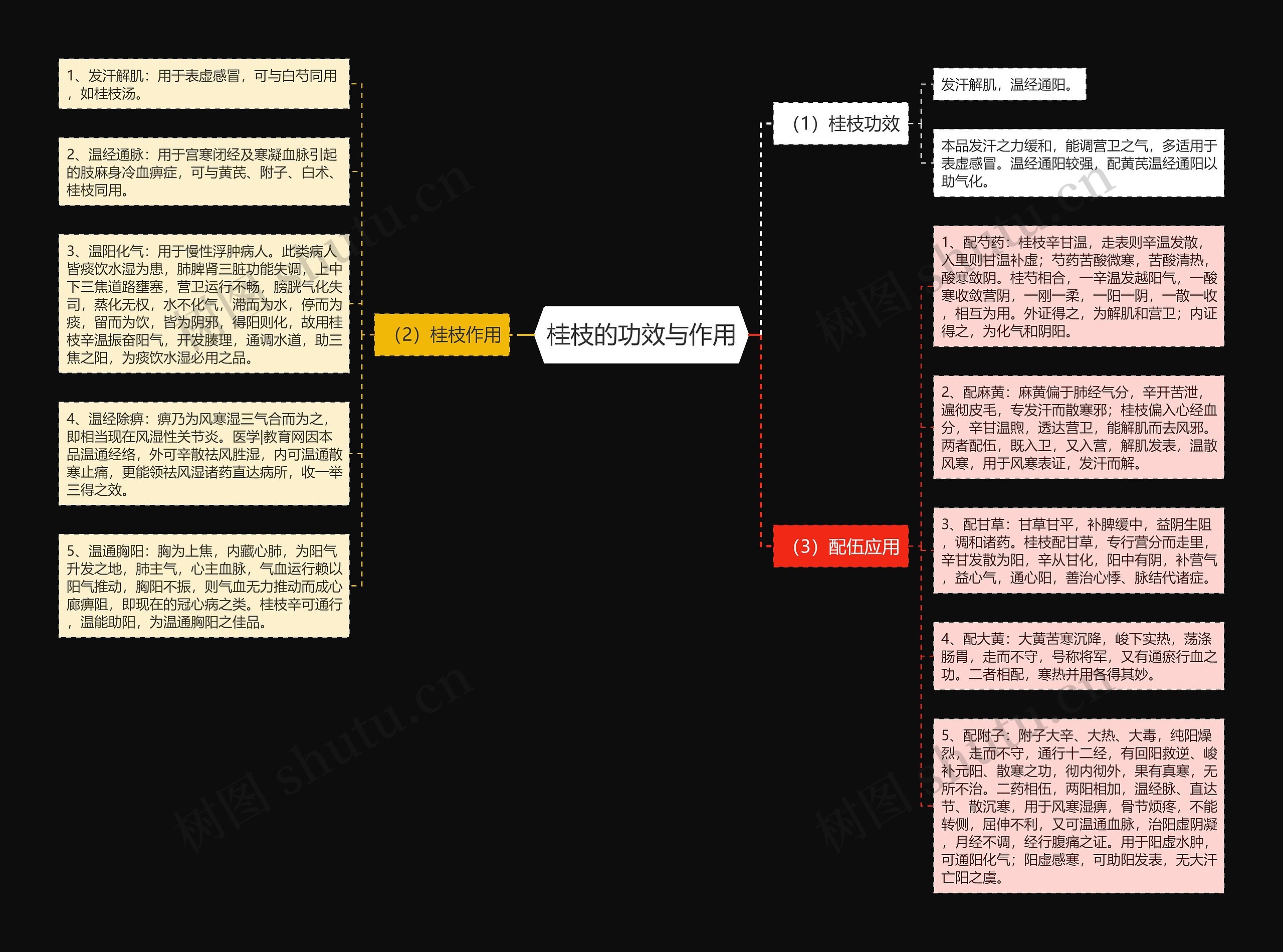 桂枝的功效与作用思维导图