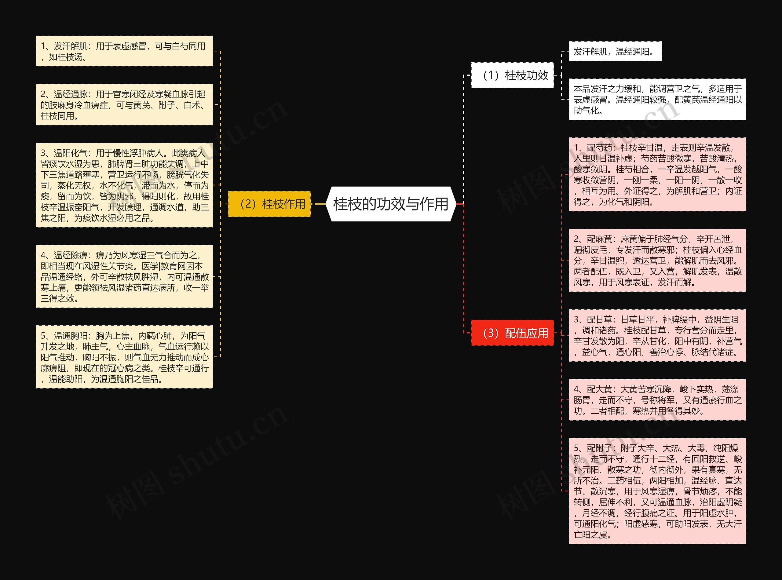 桂枝的功效与作用 桂枝的功效与作用