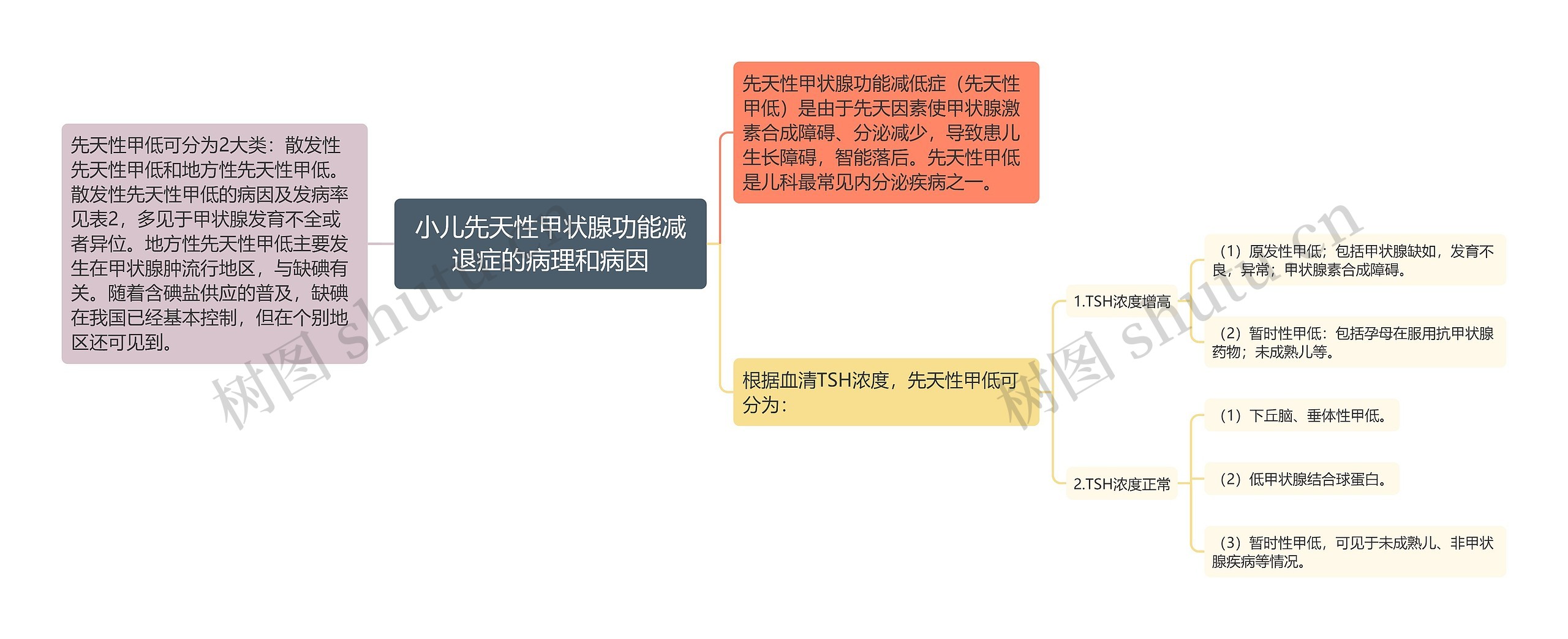 小儿先天性甲状腺功能减退症的病理和病因思维导图