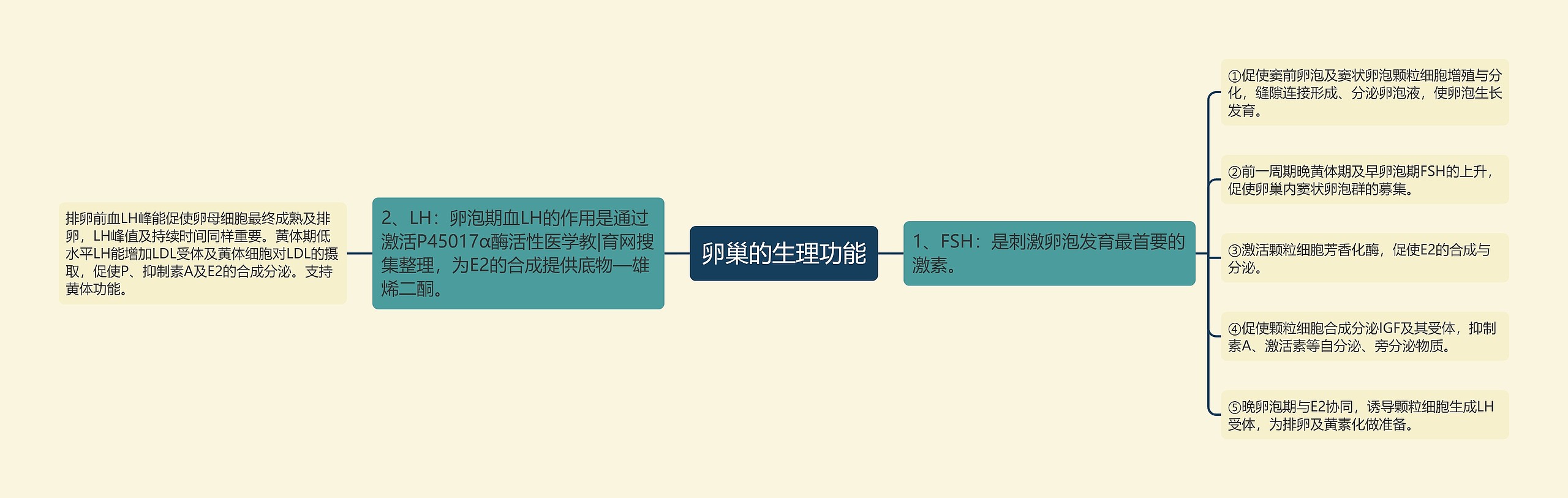 卵巢的生理功能 卵巢的生理功能