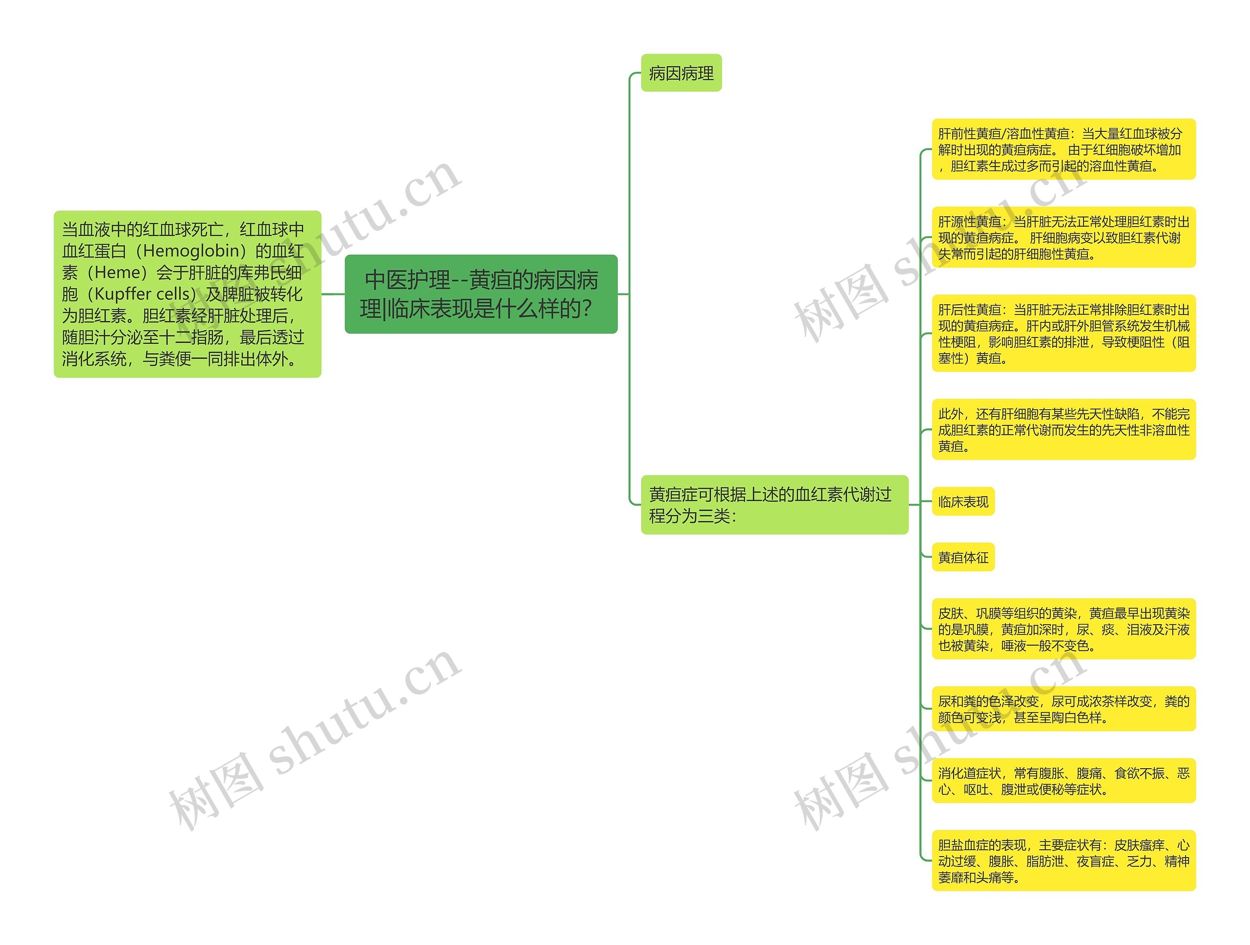 中医护理--黄疸的病因病理|临床表现是什么样的？