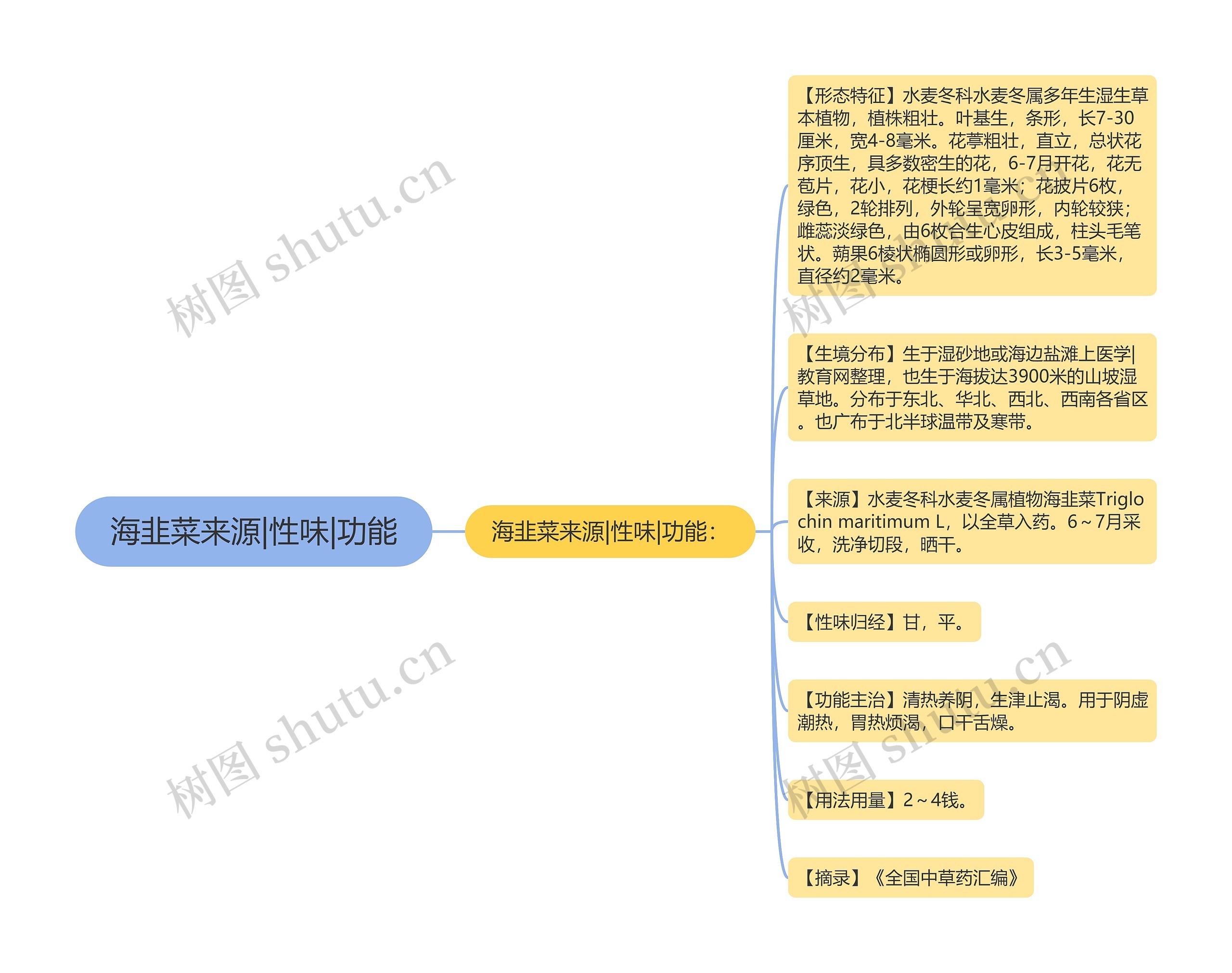 海韭菜来源|性味|功能思维导图