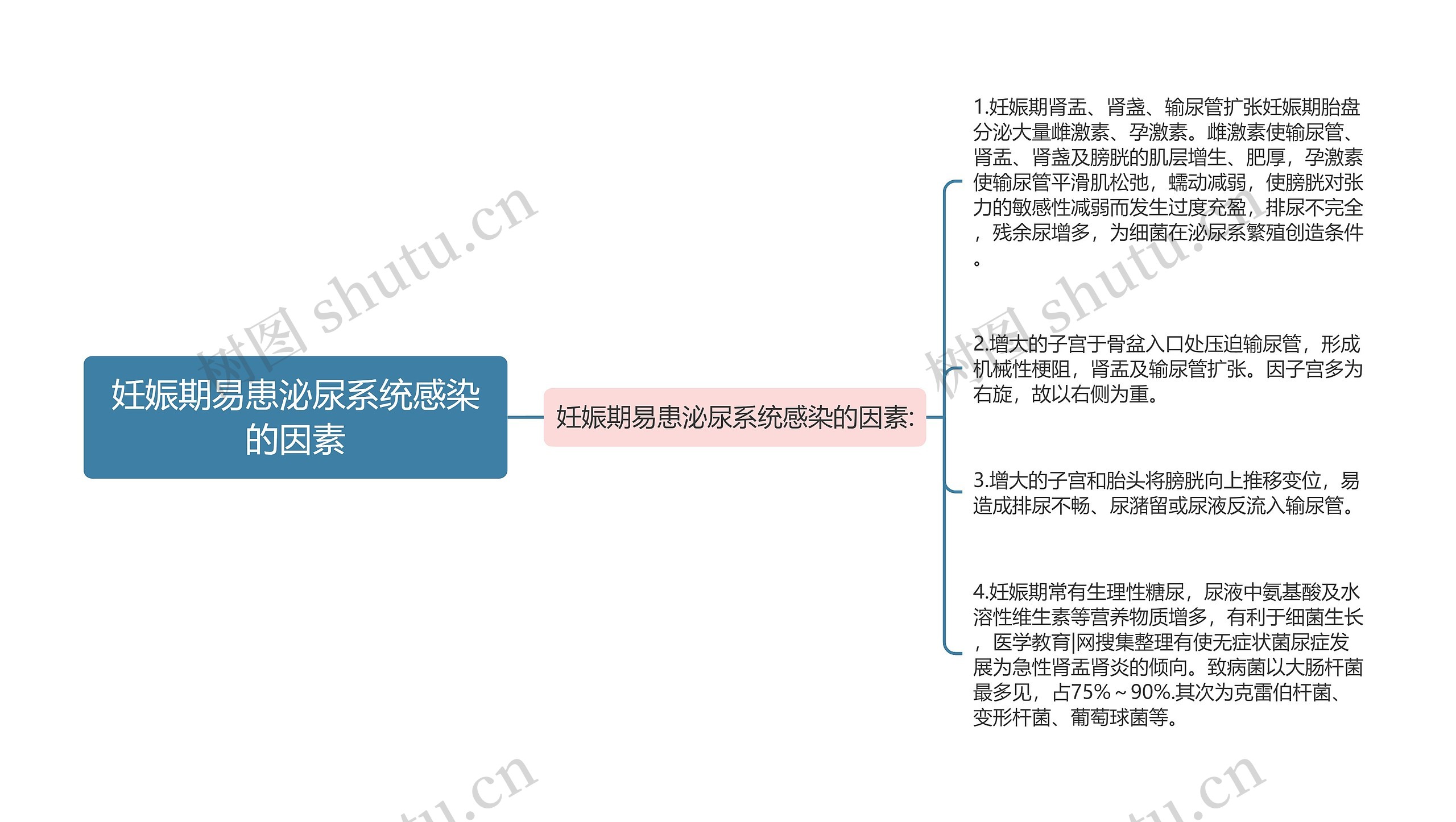 妊娠期易患泌尿系统感染的因素