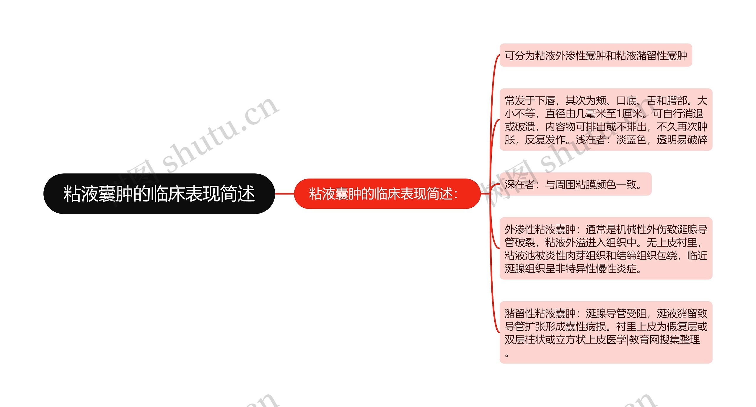 粘液囊肿的临床表现简述思维导图