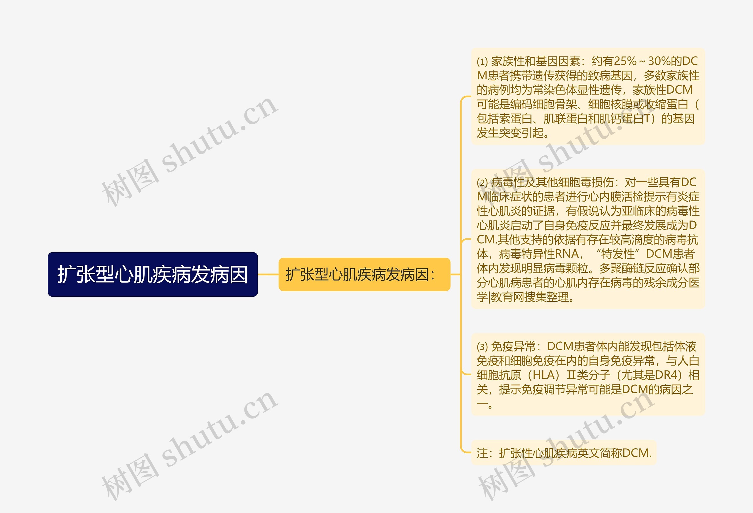 扩张型心肌疾病发病因思维导图