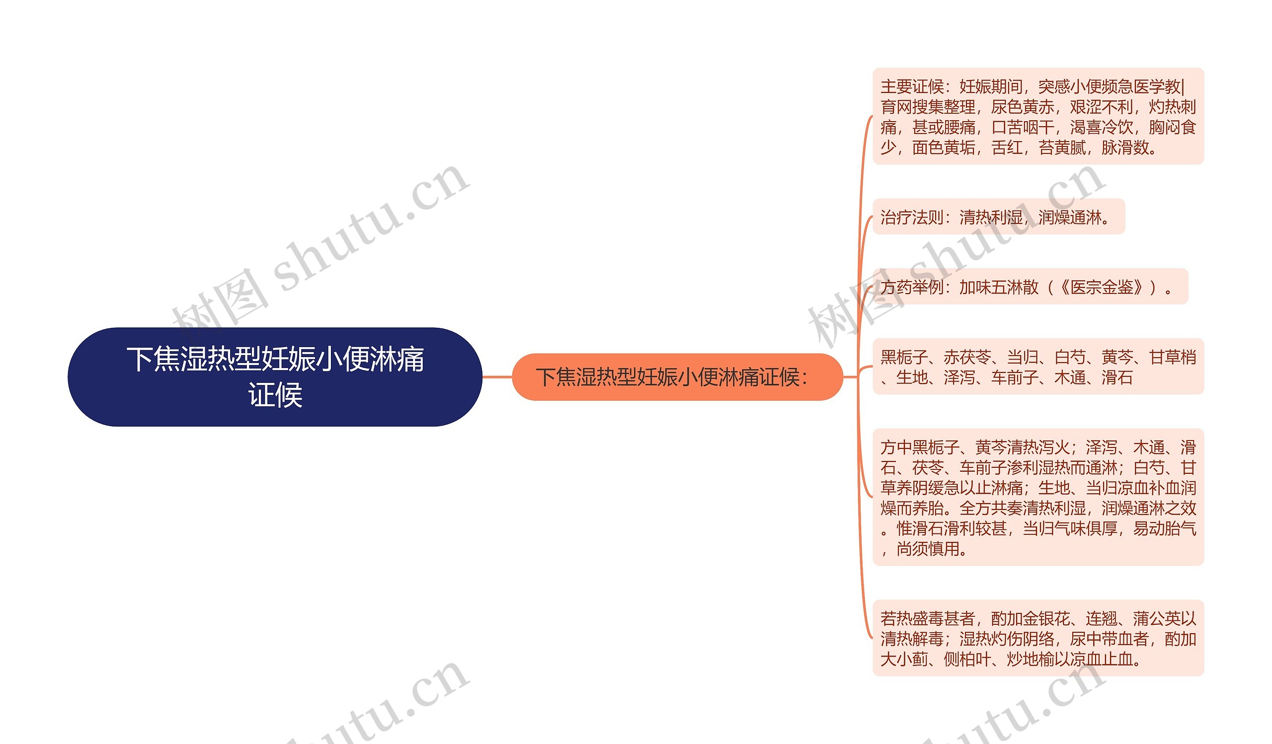 下焦湿热型妊娠小便淋痛证候思维导图