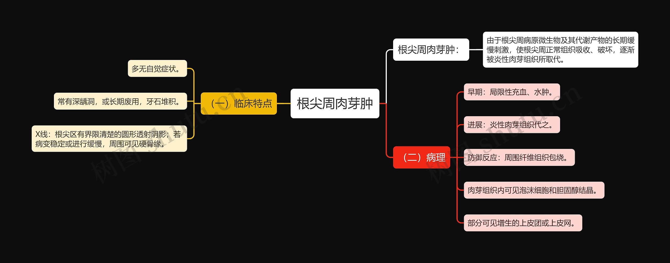 根尖周肉芽肿思维导图