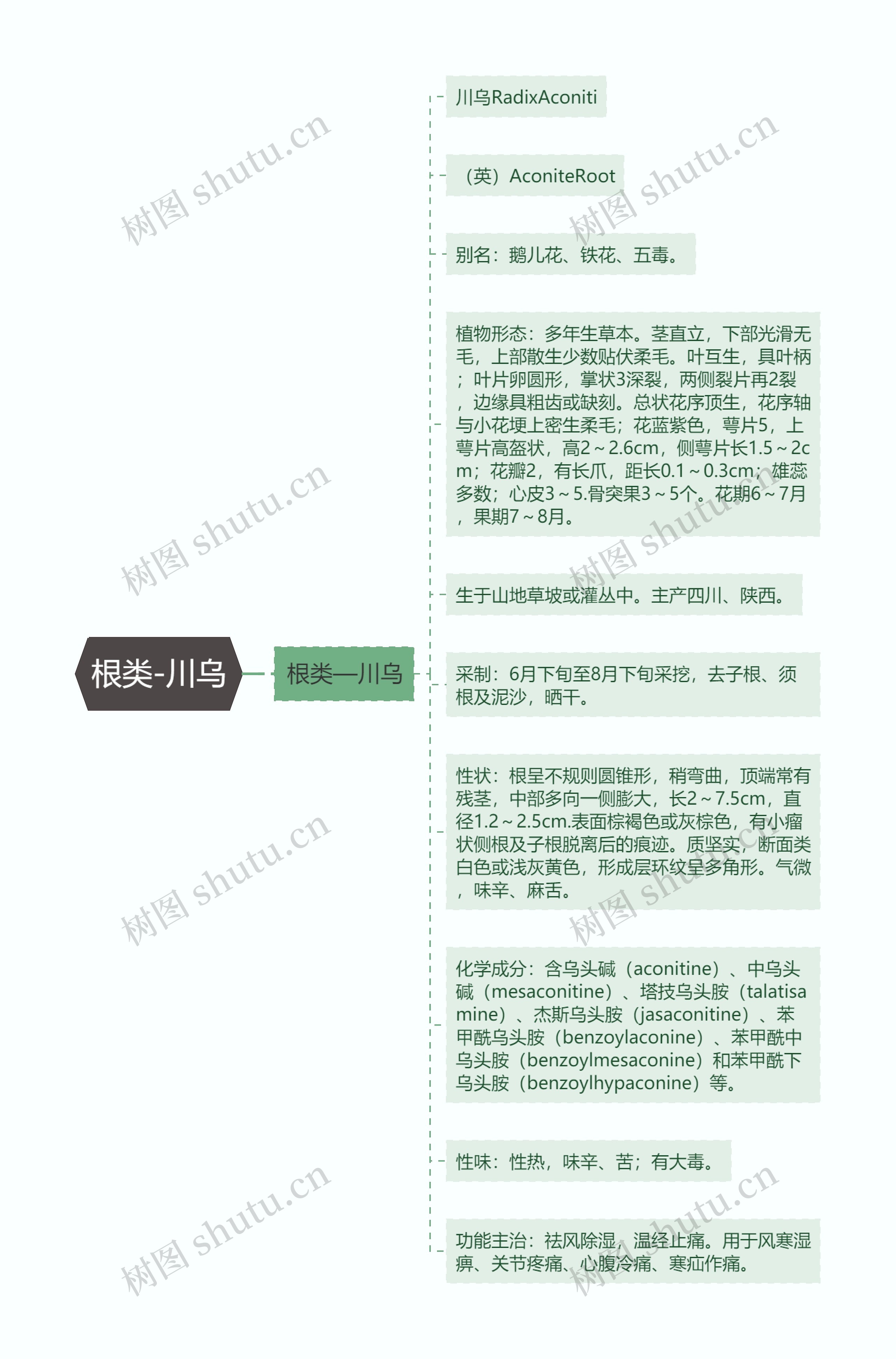 根类-川乌思维导图