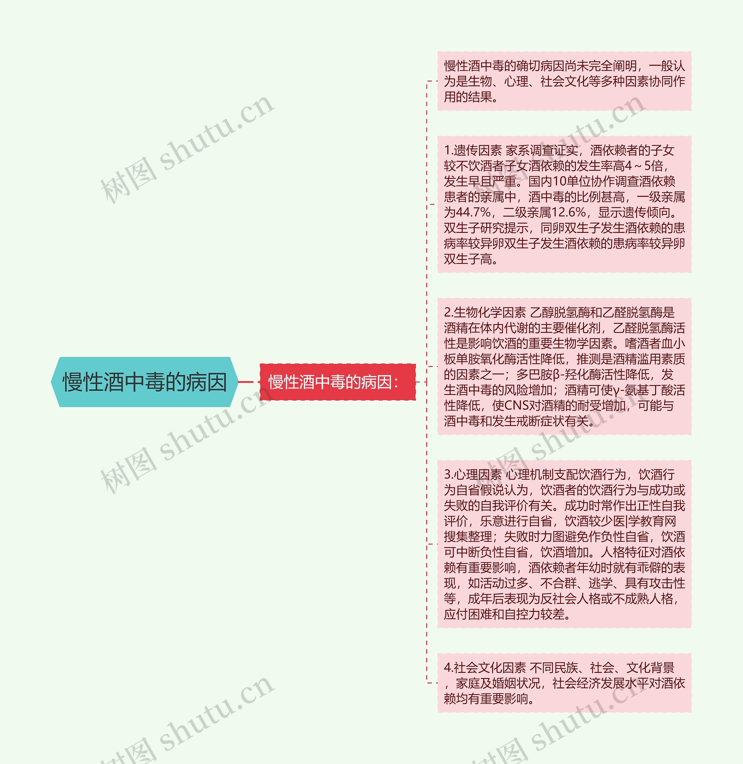 慢性酒中毒的病因思维导图