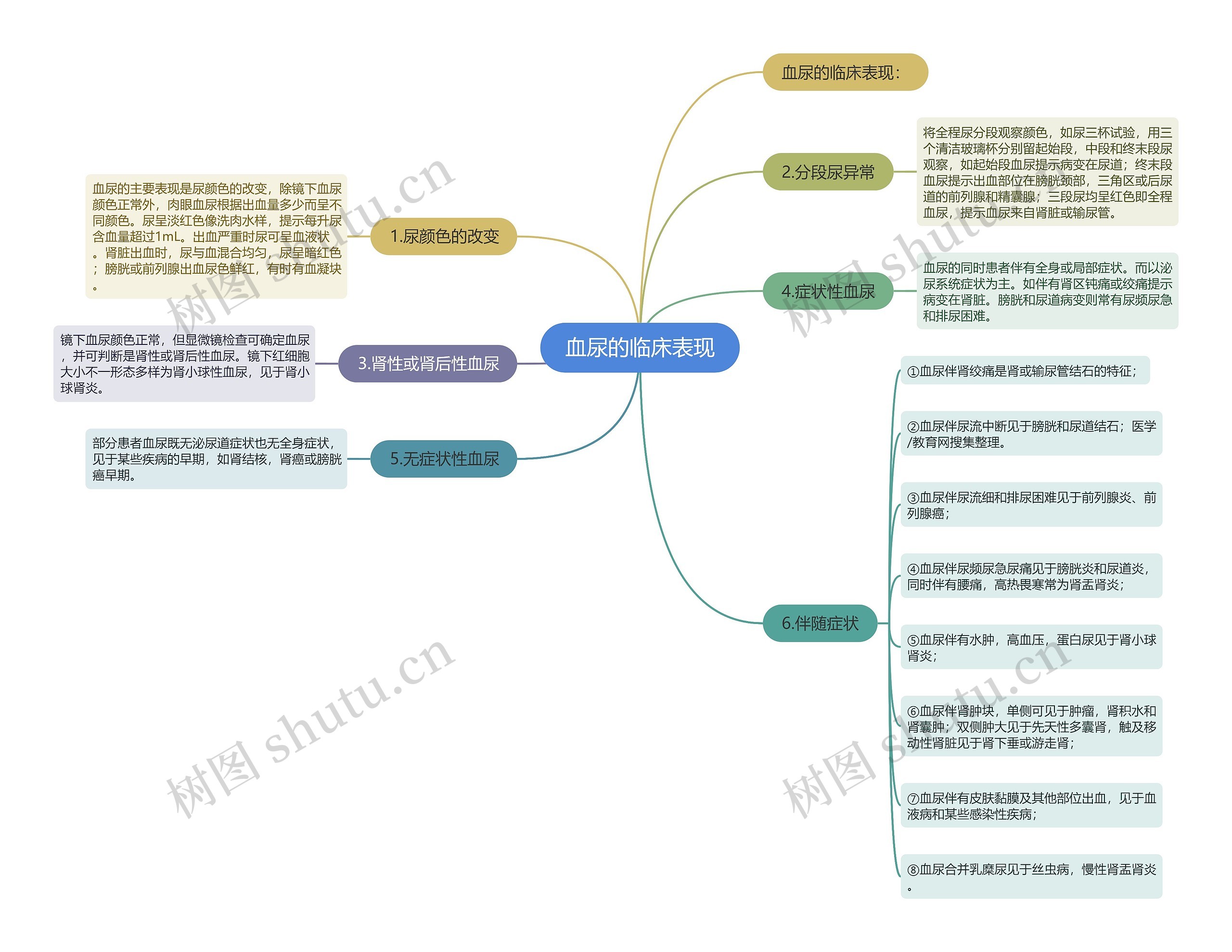 血尿的临床表现思维导图