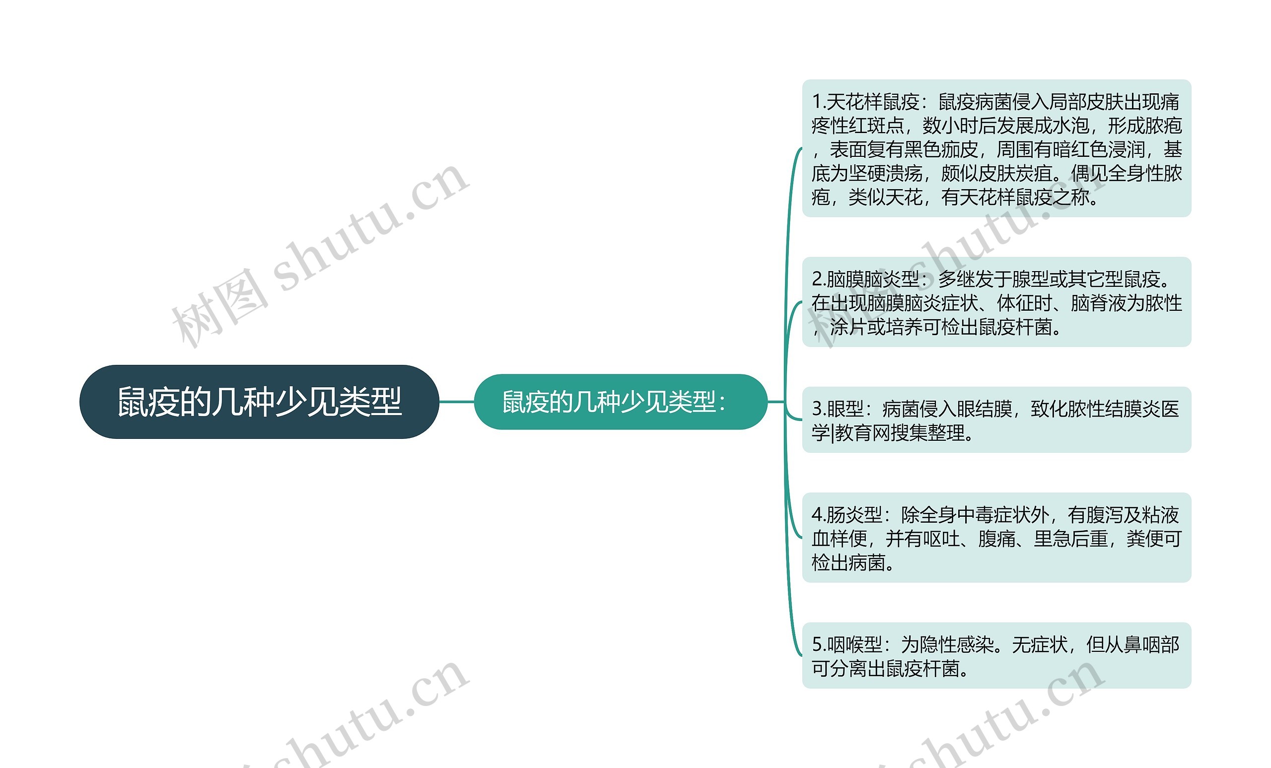 鼠疫的几种少见类型思维导图