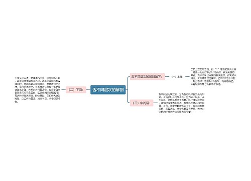 舌不同层次的解剖