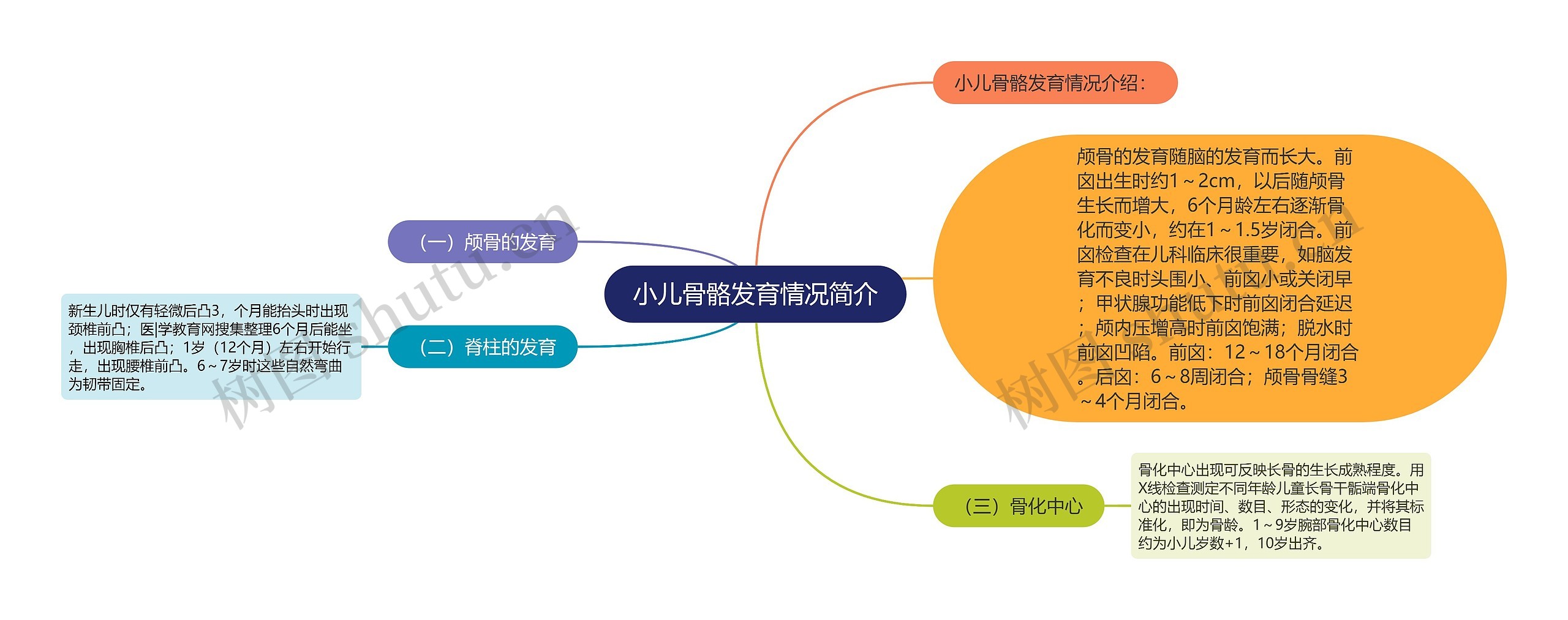 小儿骨骼发育情况简介