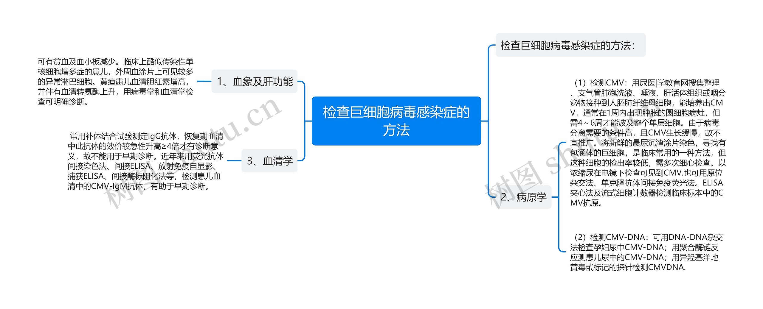 检查巨细胞病毒感染症的方法思维导图