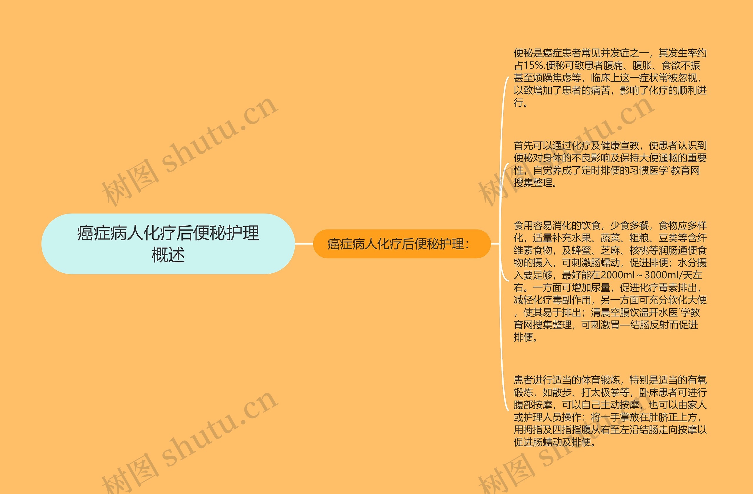 癌症病人化疗后便秘护理概述思维导图