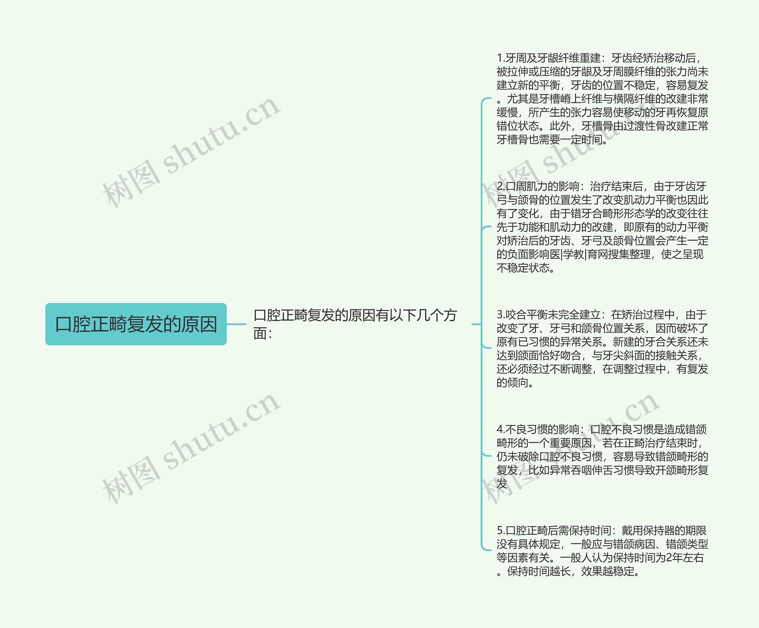 口腔正畸复发的原因思维导图