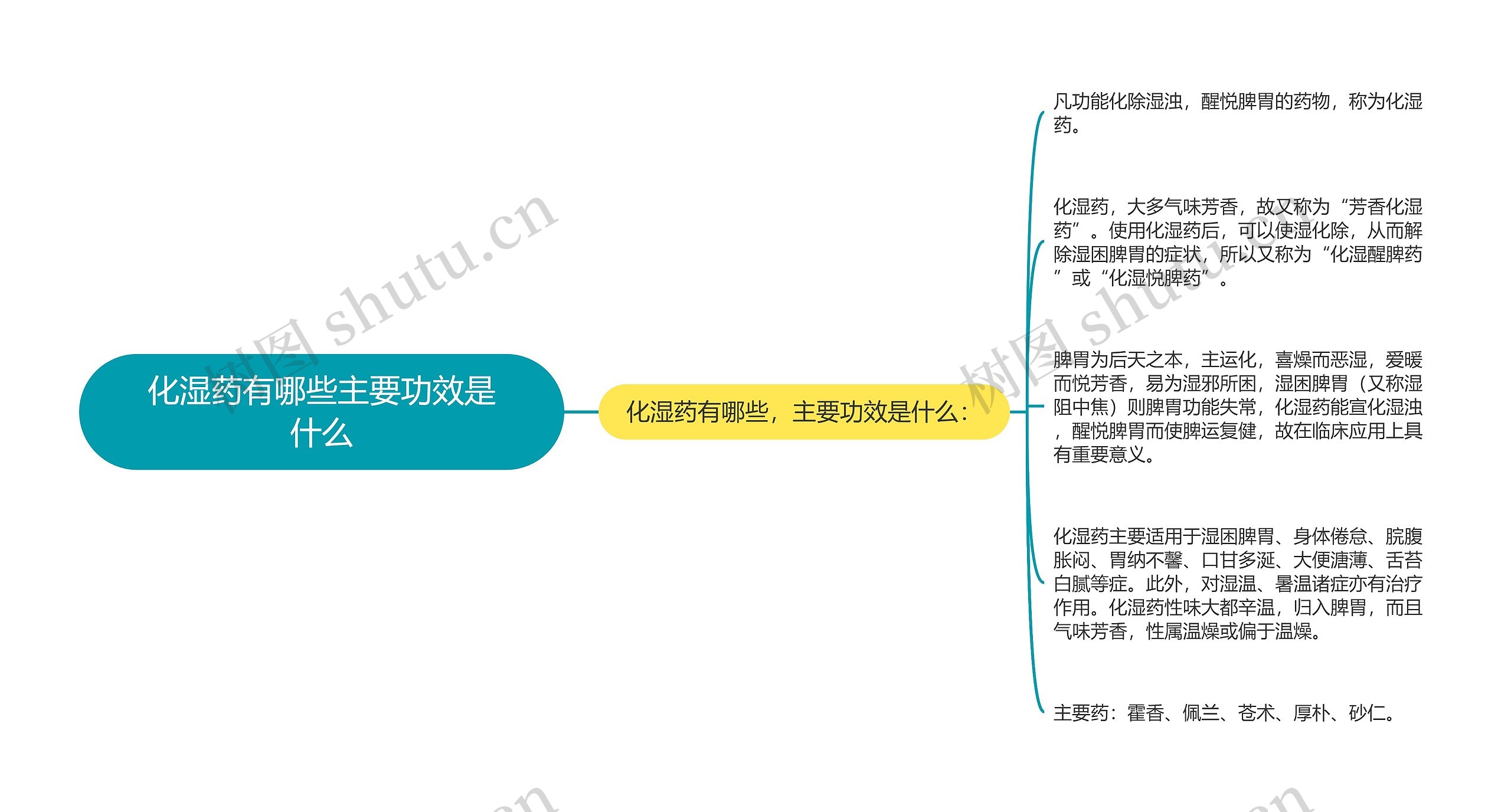 化湿药有哪些主要功效是什么思维导图