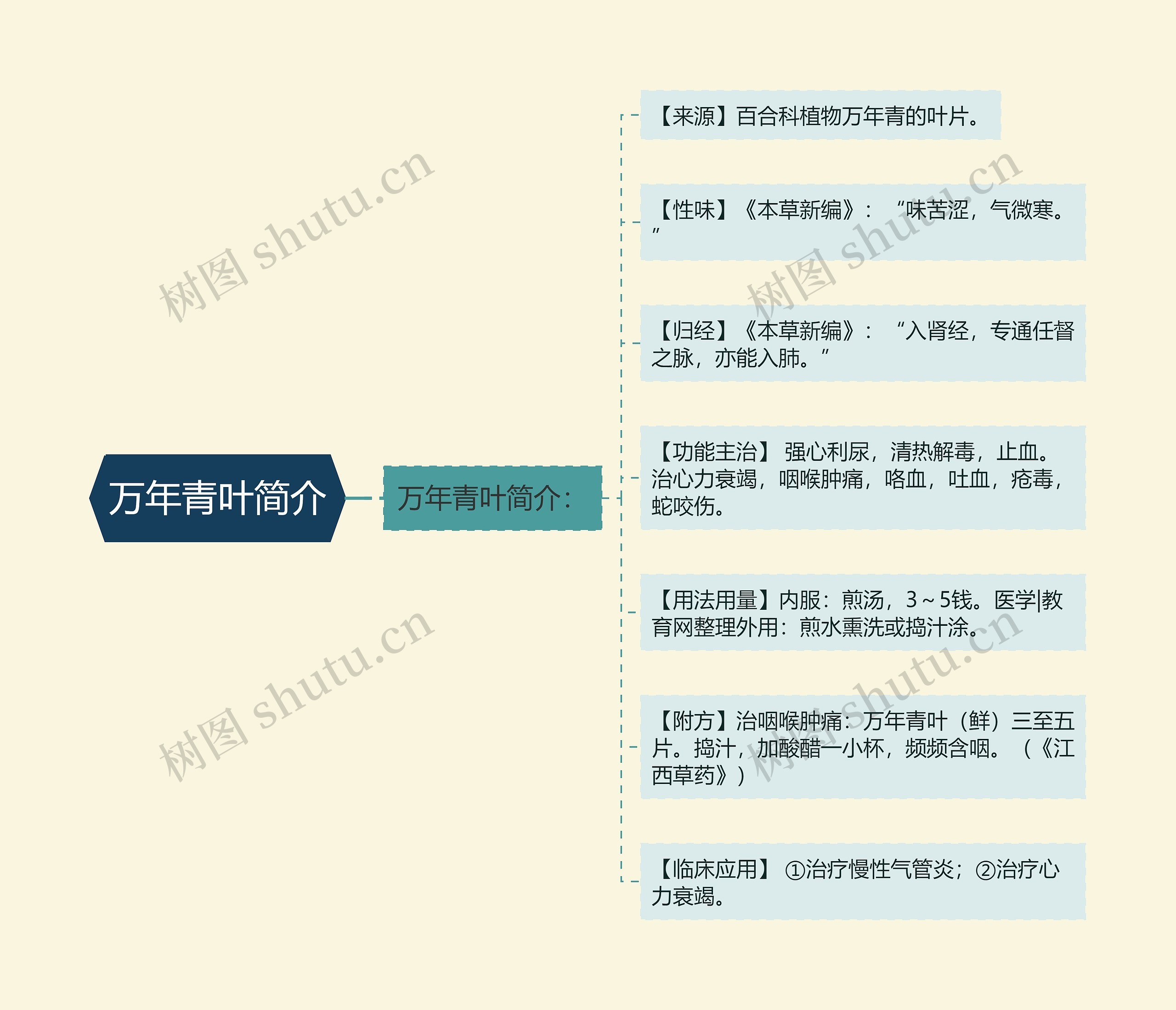 万年青叶简介思维导图