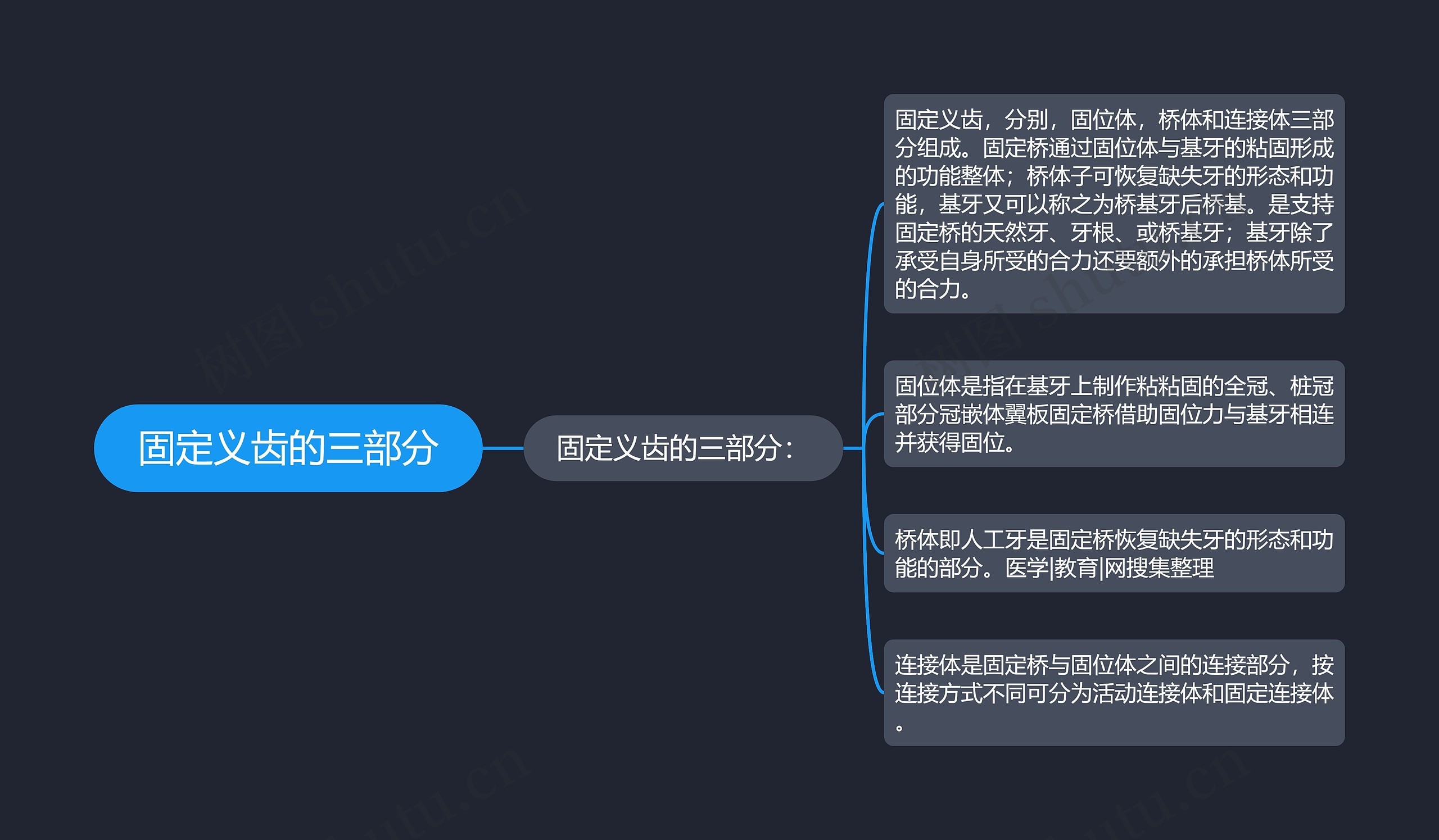 固定义齿的三部分思维导图