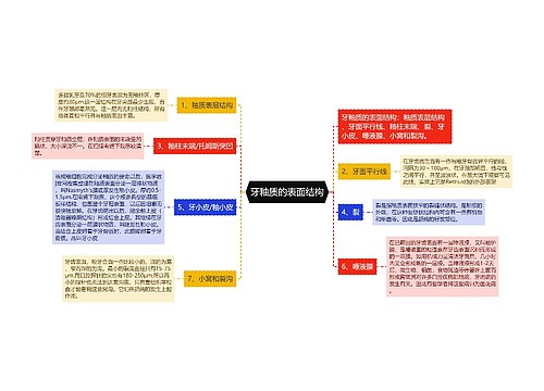 牙釉质的表面结构