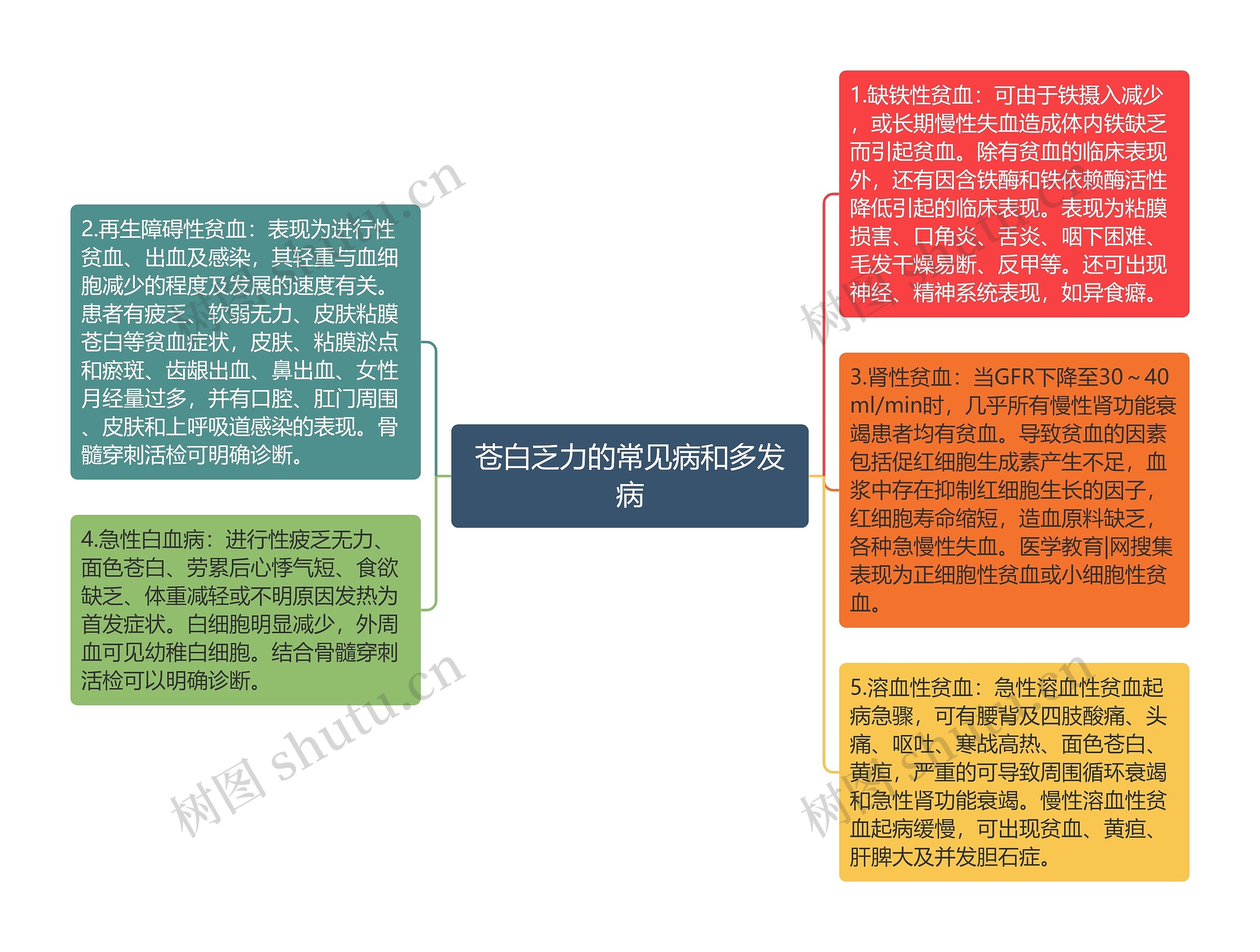 苍白乏力的常见病和多发病思维导图