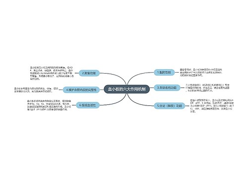 血小板的六大作用机制