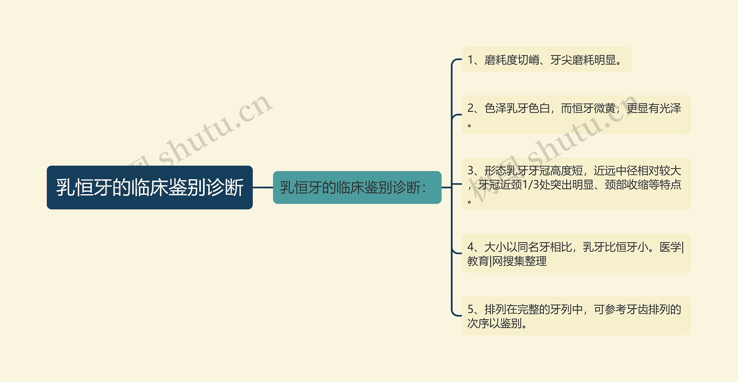 乳恒牙的临床鉴别诊断