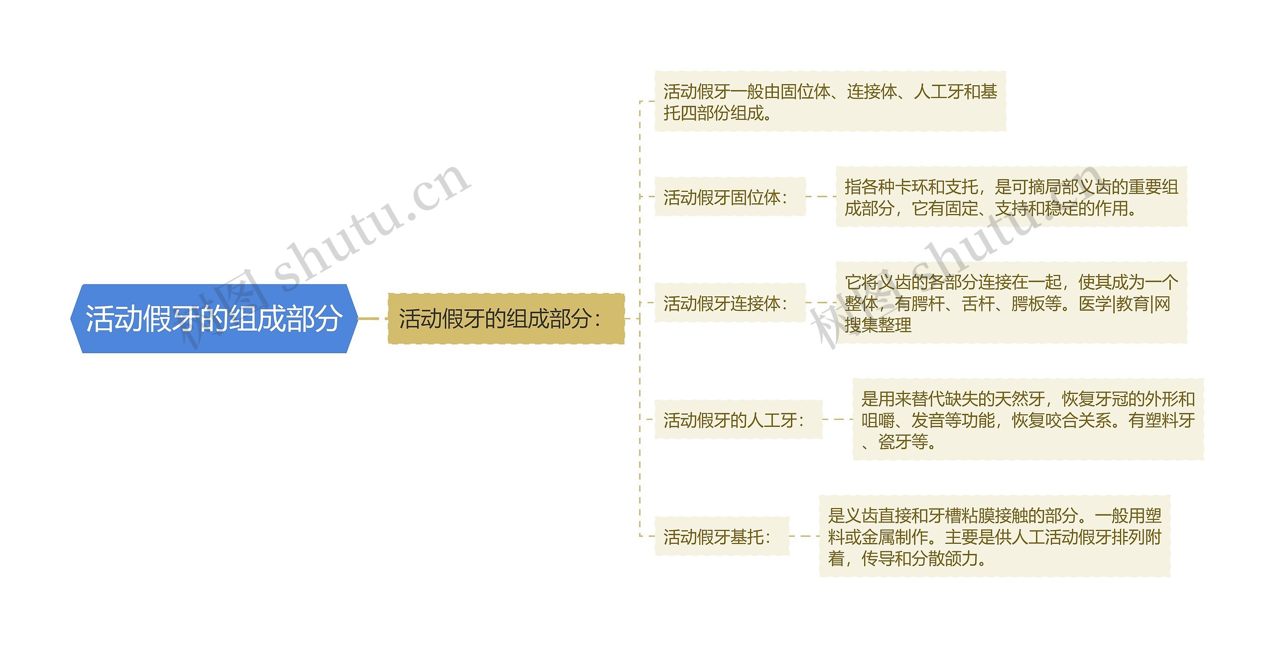 活动假牙的组成部分思维导图