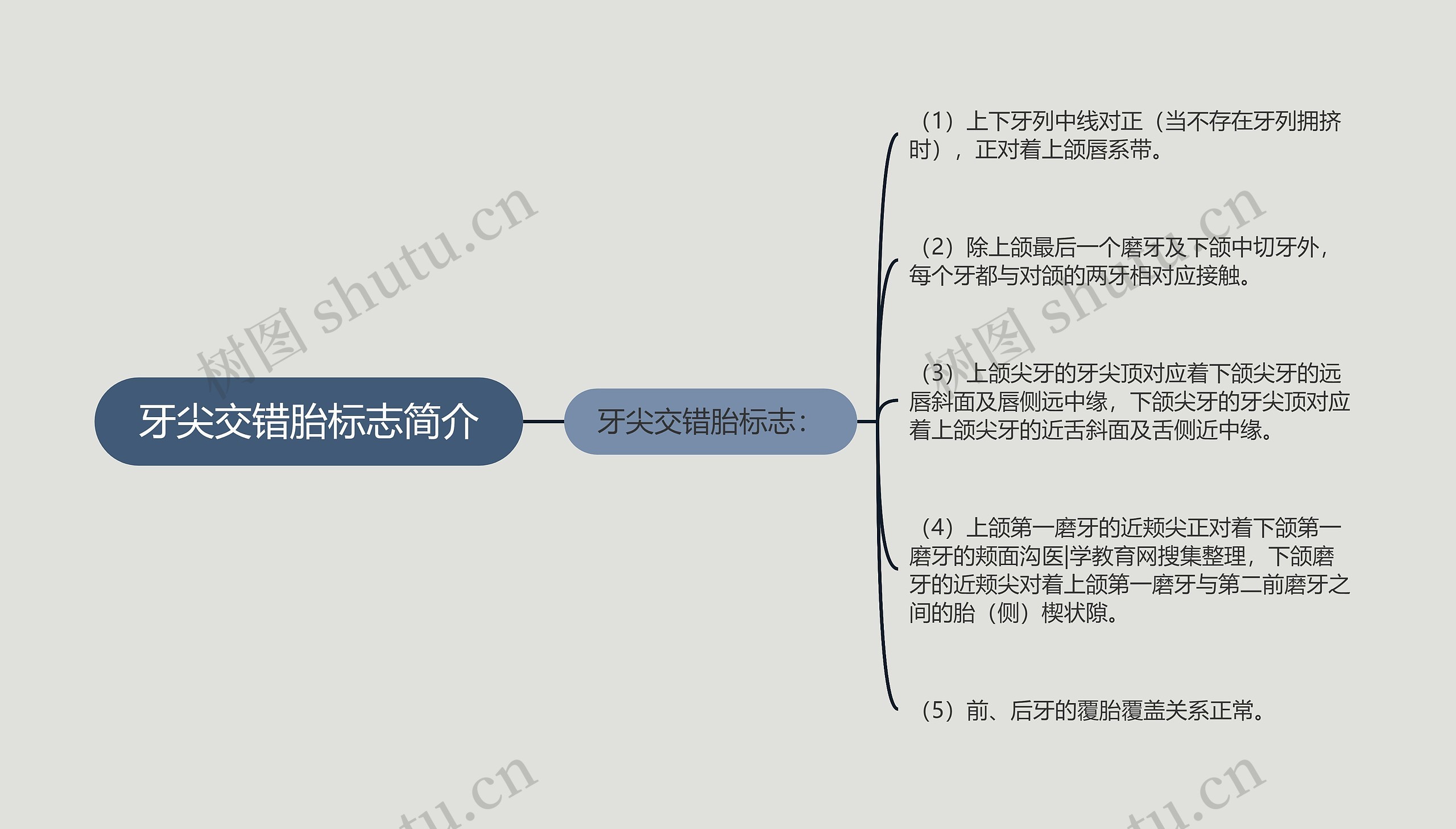 牙尖交错胎标志简介思维导图